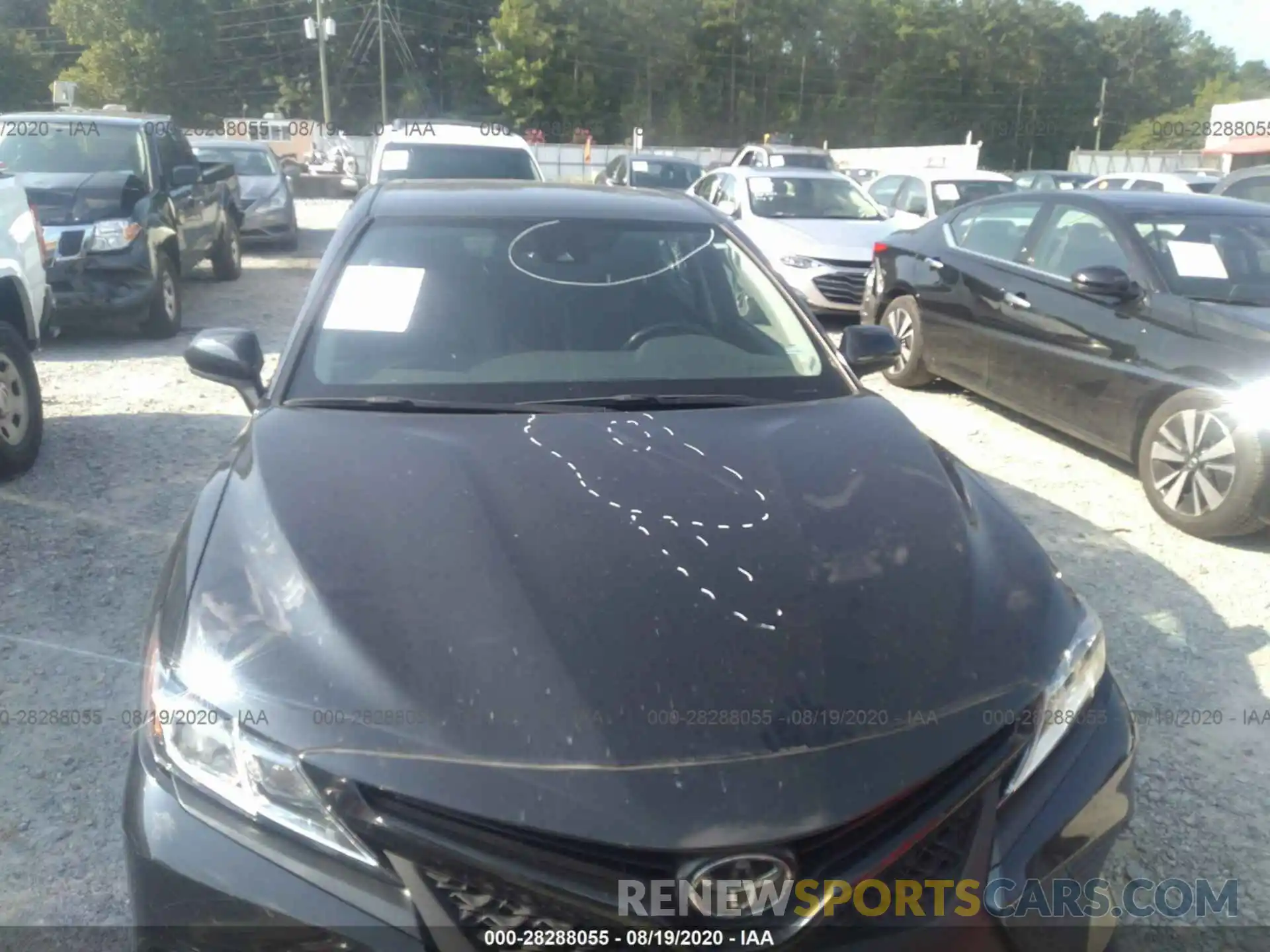 6 Photograph of a damaged car 4T1B11HK4KU202168 TOYOTA CAMRY 2019