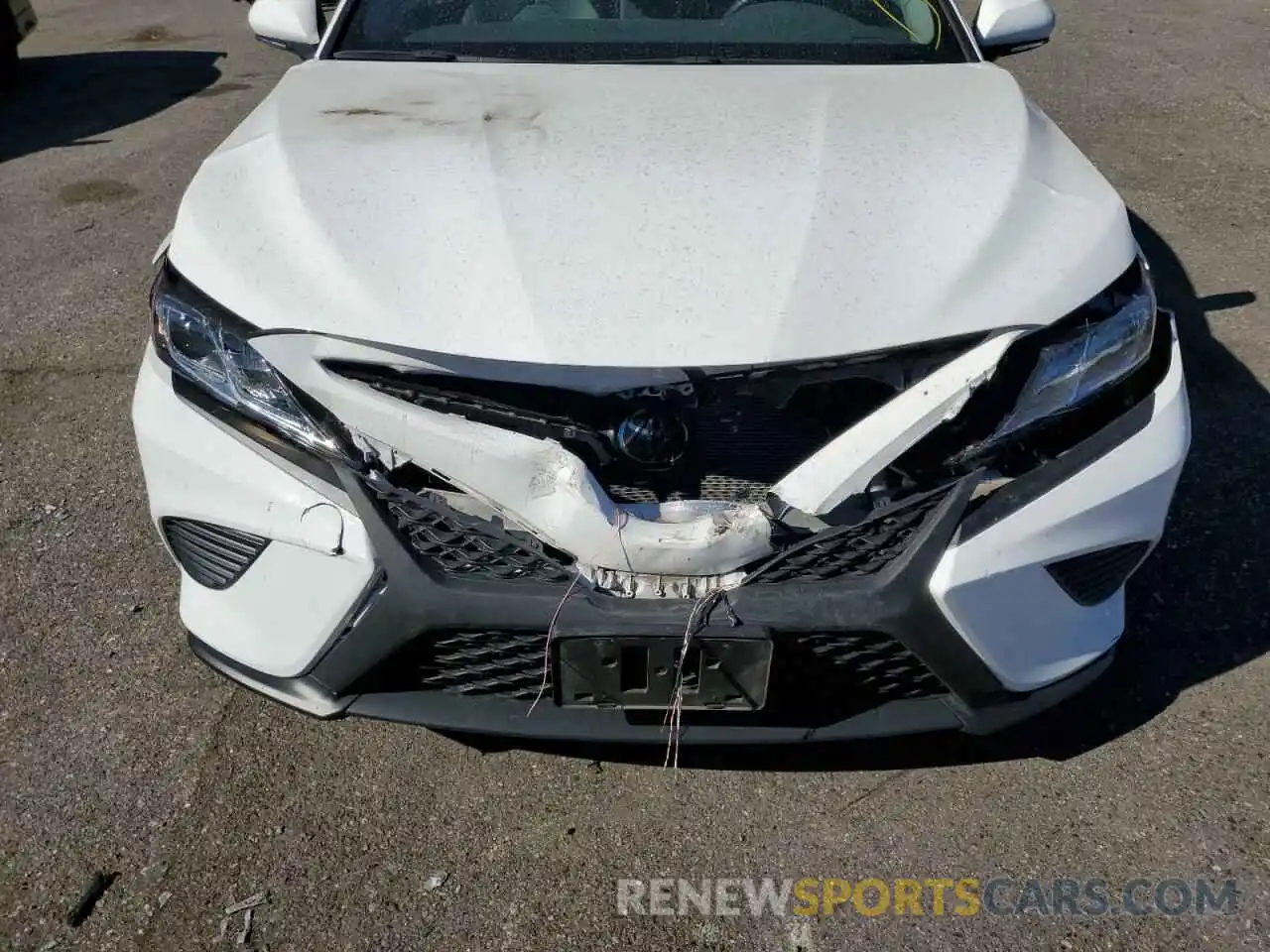 9 Photograph of a damaged car 4T1B11HK4KU209573 TOYOTA CAMRY 2019