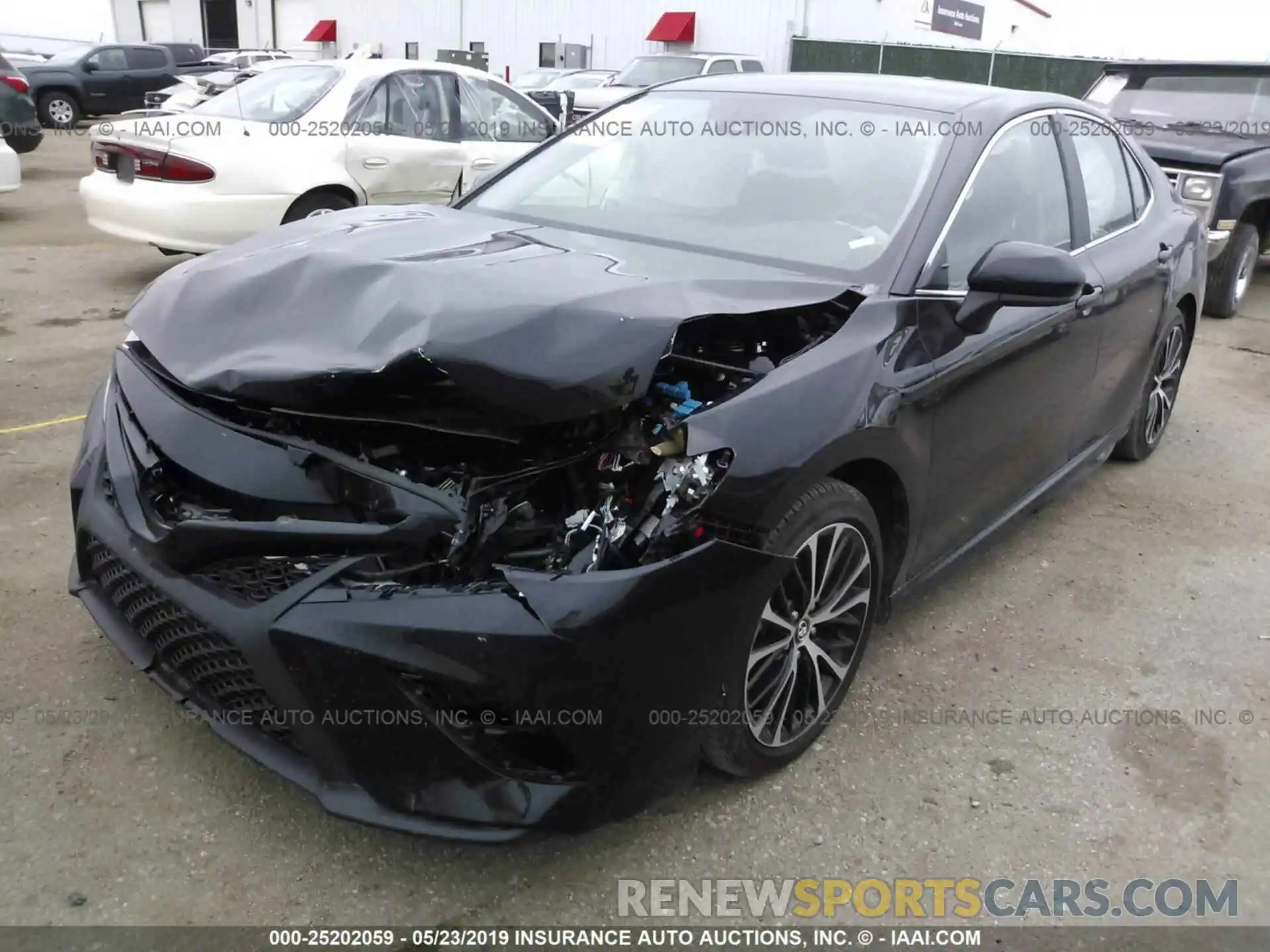 2 Photograph of a damaged car 4T1B11HK4KU216412 TOYOTA CAMRY 2019