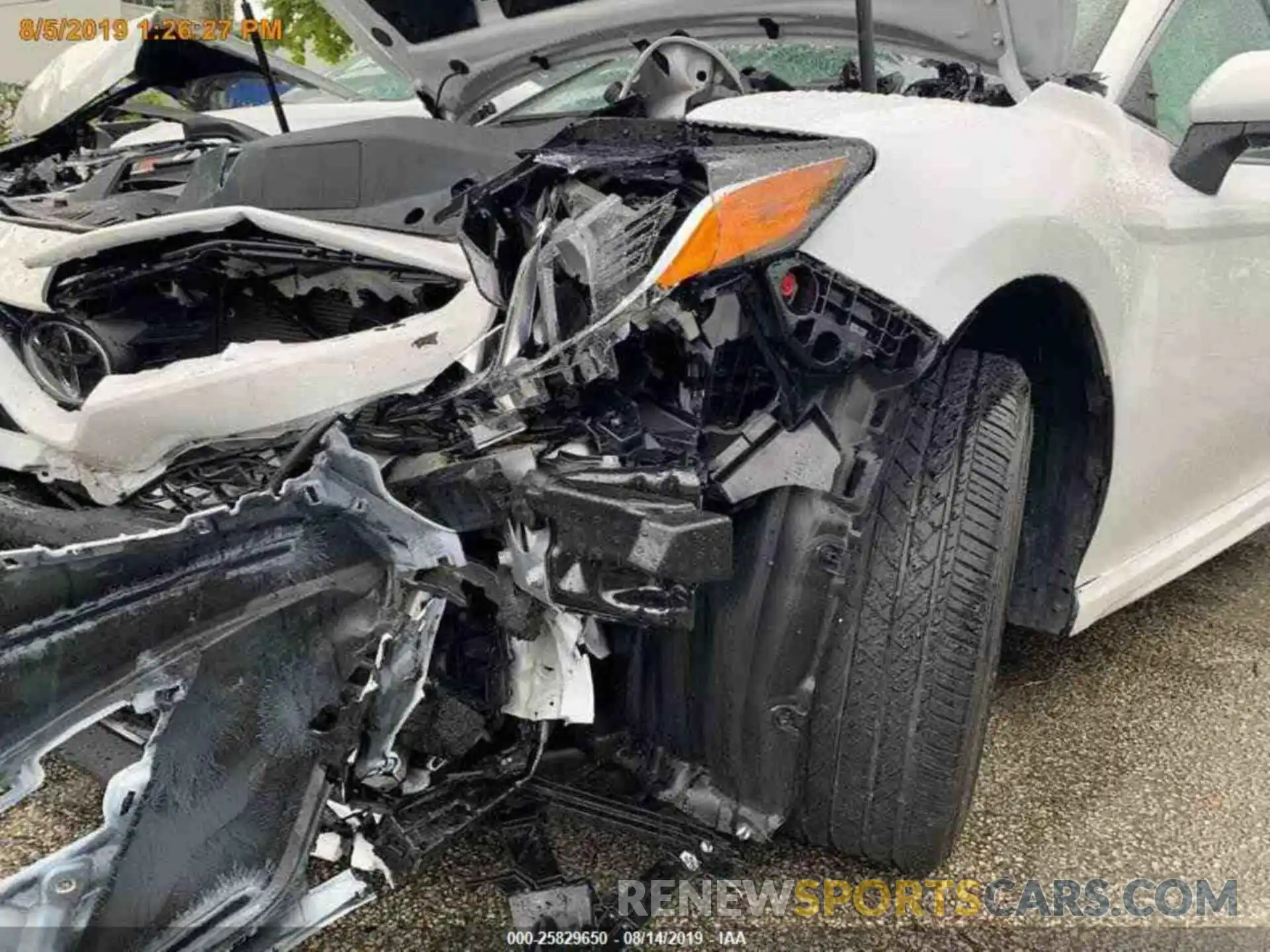 12 Photograph of a damaged car 4T1B11HK4KU216958 TOYOTA CAMRY 2019