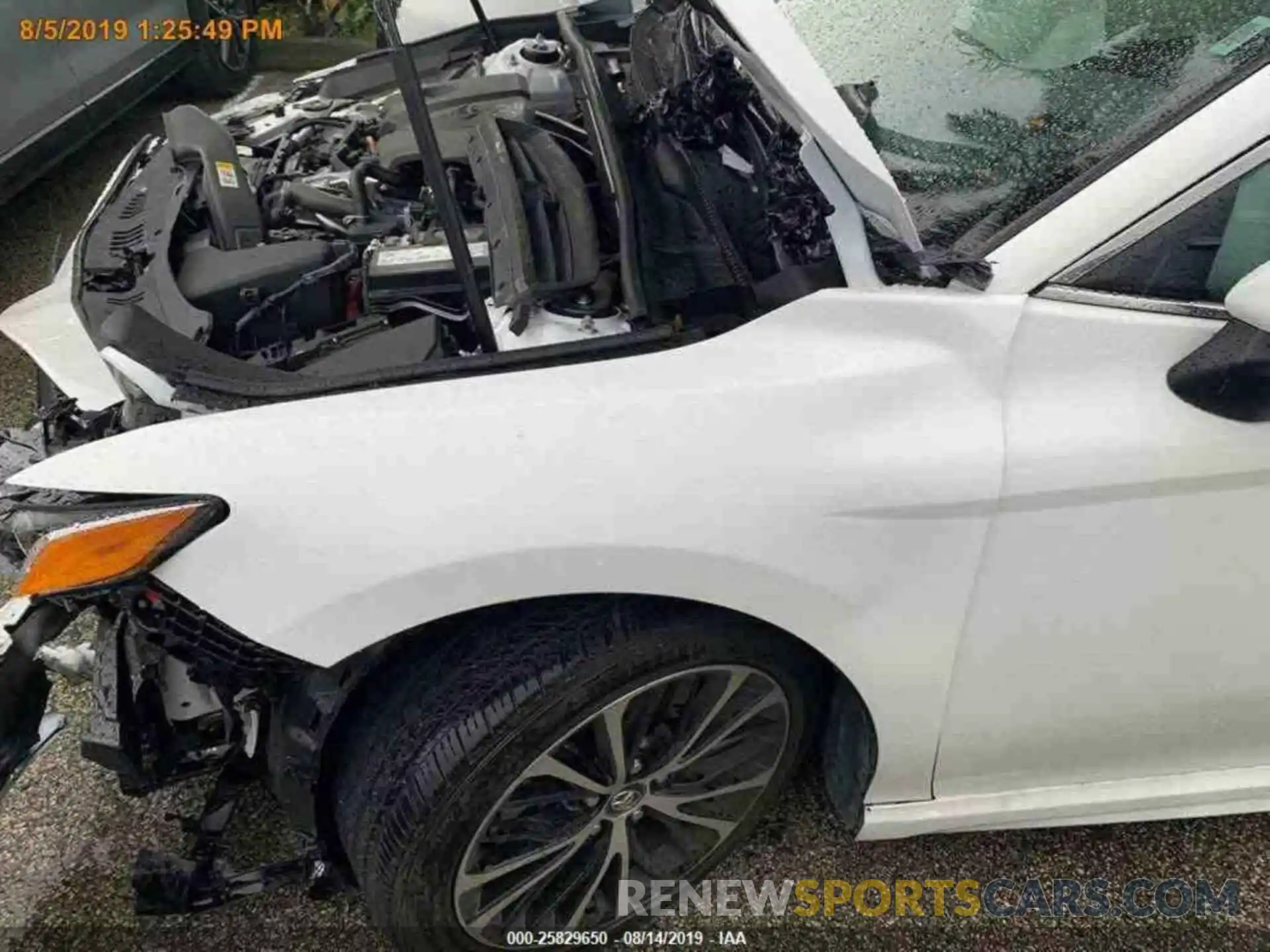 16 Photograph of a damaged car 4T1B11HK4KU216958 TOYOTA CAMRY 2019