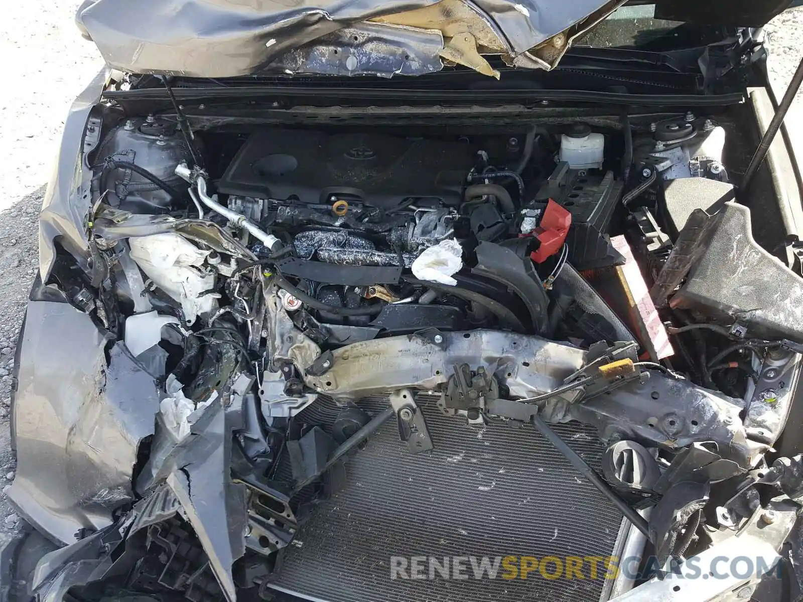 7 Photograph of a damaged car 4T1B11HK4KU224025 TOYOTA CAMRY 2019