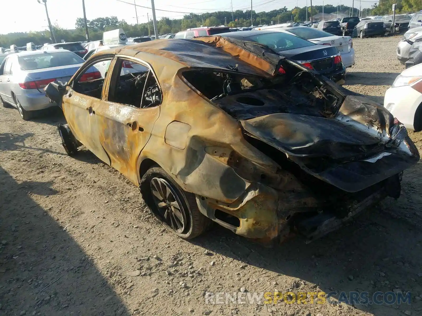 3 Photograph of a damaged car 4T1B11HK4KU226695 TOYOTA CAMRY 2019