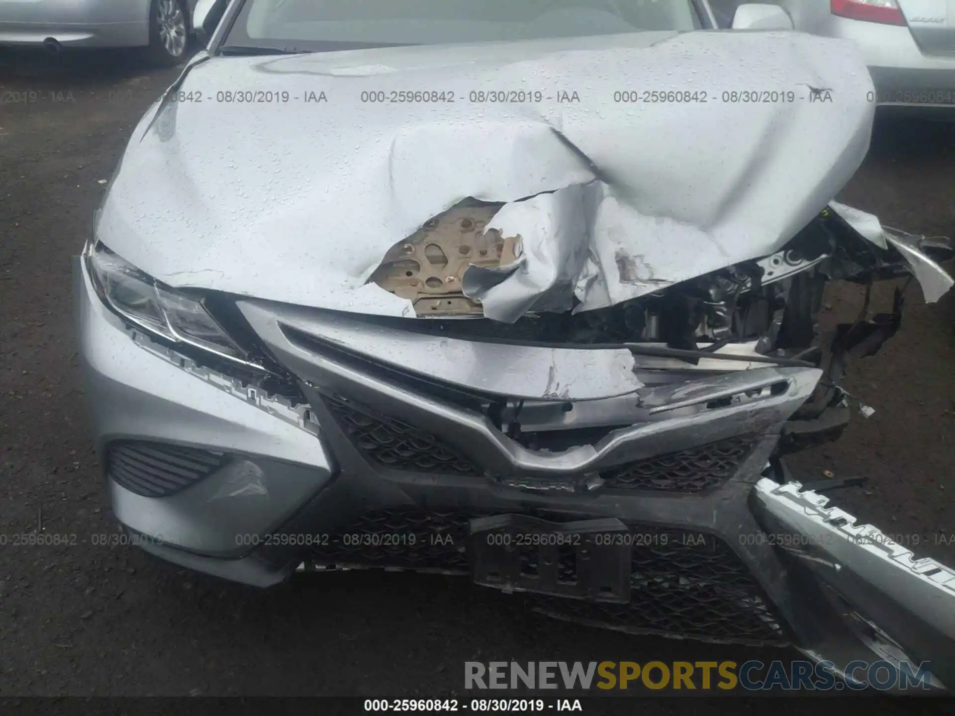 6 Photograph of a damaged car 4T1B11HK4KU227555 TOYOTA CAMRY 2019