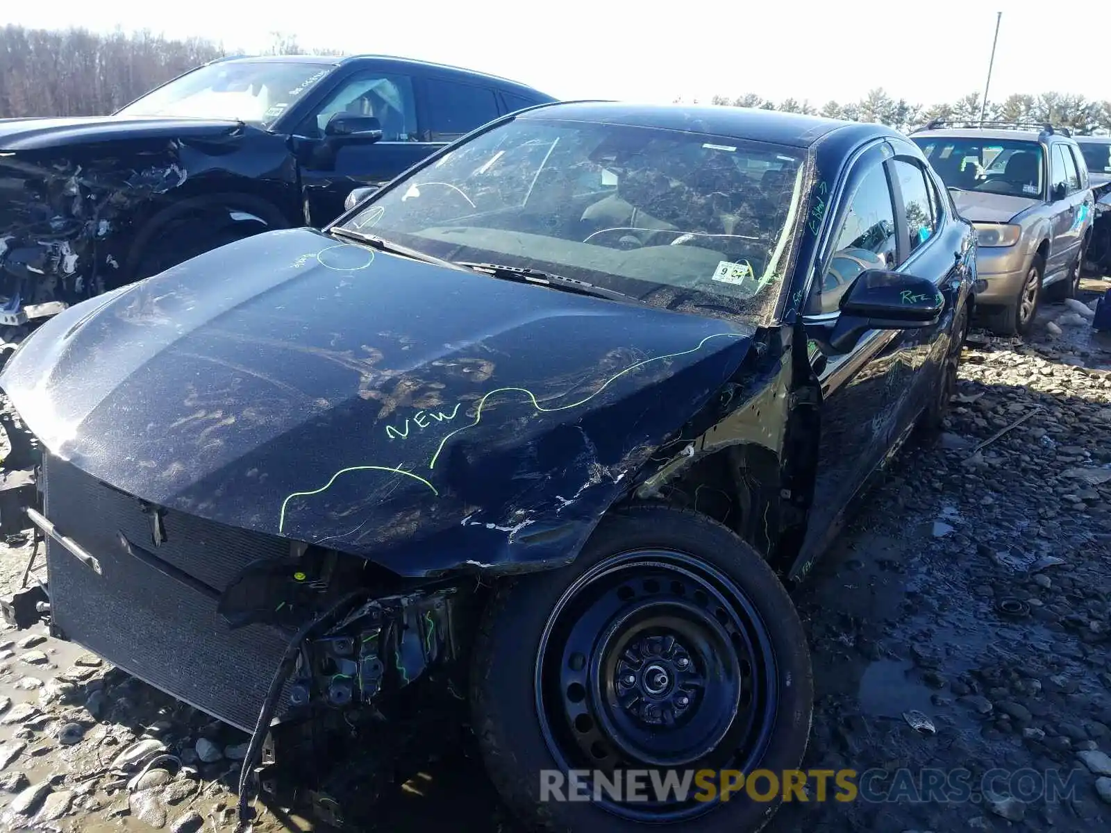 2 Photograph of a damaged car 4T1B11HK4KU229516 TOYOTA CAMRY 2019