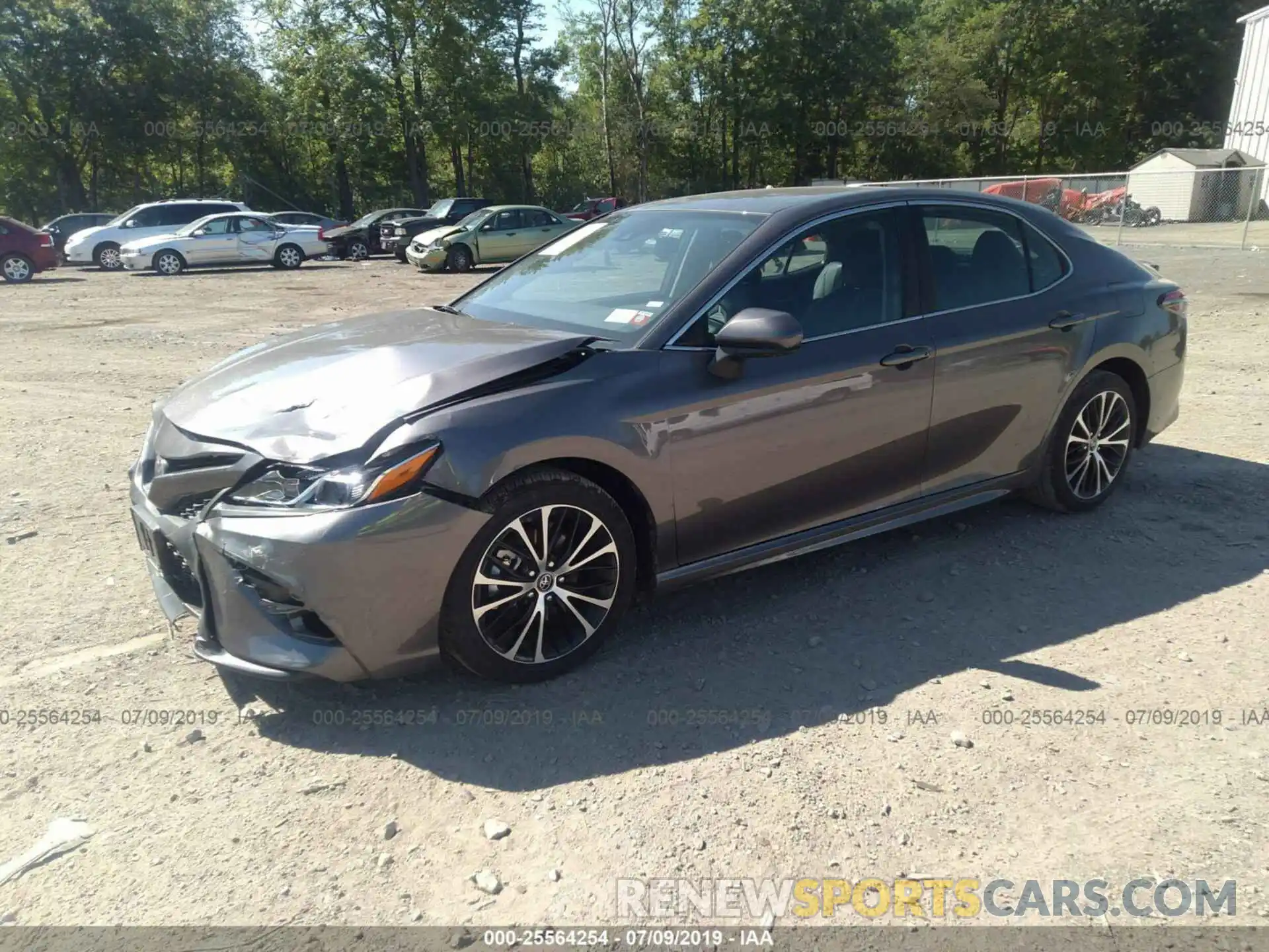 2 Photograph of a damaged car 4T1B11HK4KU241505 TOYOTA CAMRY 2019