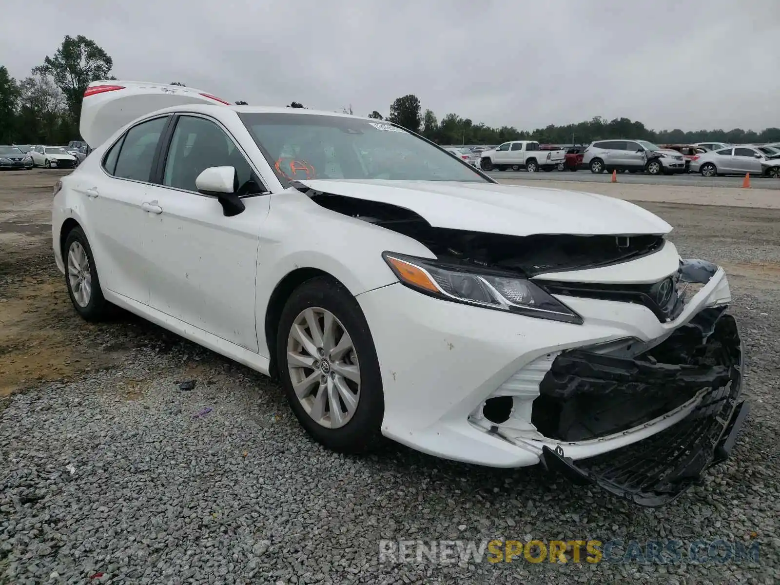 1 Photograph of a damaged car 4T1B11HK4KU243500 TOYOTA CAMRY 2019