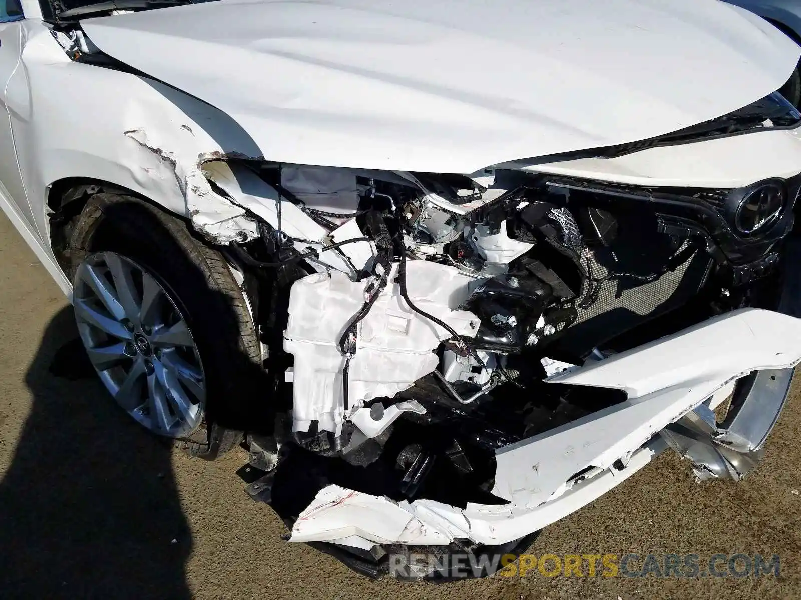 9 Photograph of a damaged car 4T1B11HK4KU249944 TOYOTA CAMRY 2019