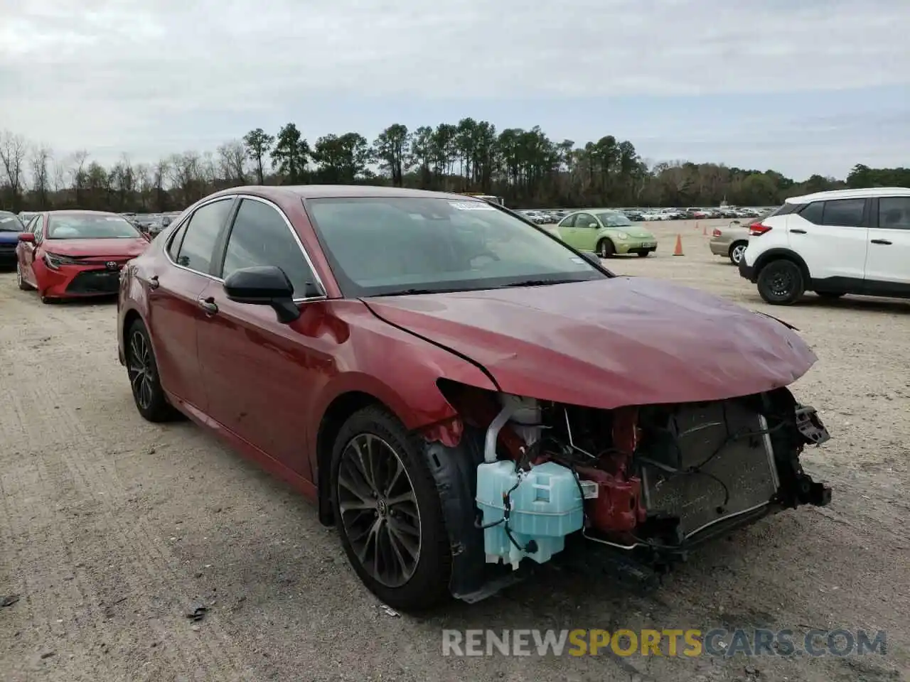 1 Photograph of a damaged car 4T1B11HK4KU255405 TOYOTA CAMRY 2019