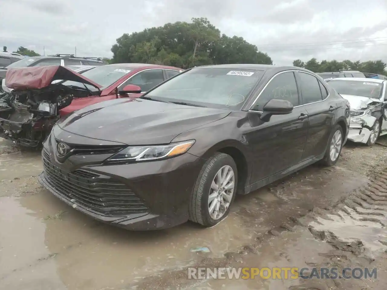 2 Photograph of a damaged car 4T1B11HK4KU283804 TOYOTA CAMRY 2019