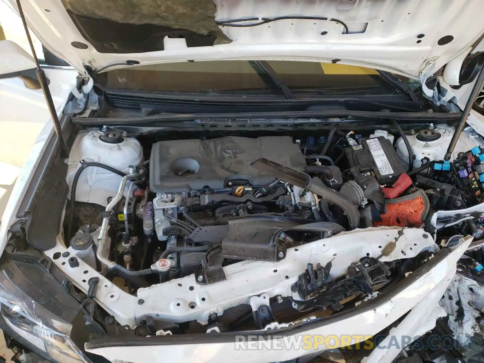 7 Photograph of a damaged car 4T1B11HK4KU291630 TOYOTA CAMRY 2019