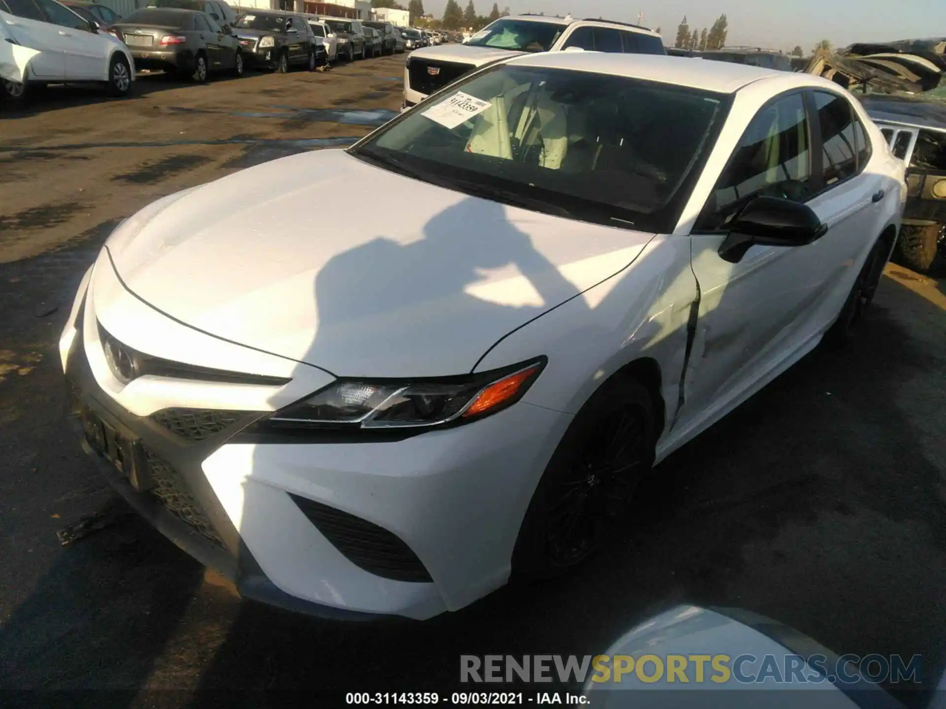 2 Photograph of a damaged car 4T1B11HK4KU294320 TOYOTA CAMRY 2019