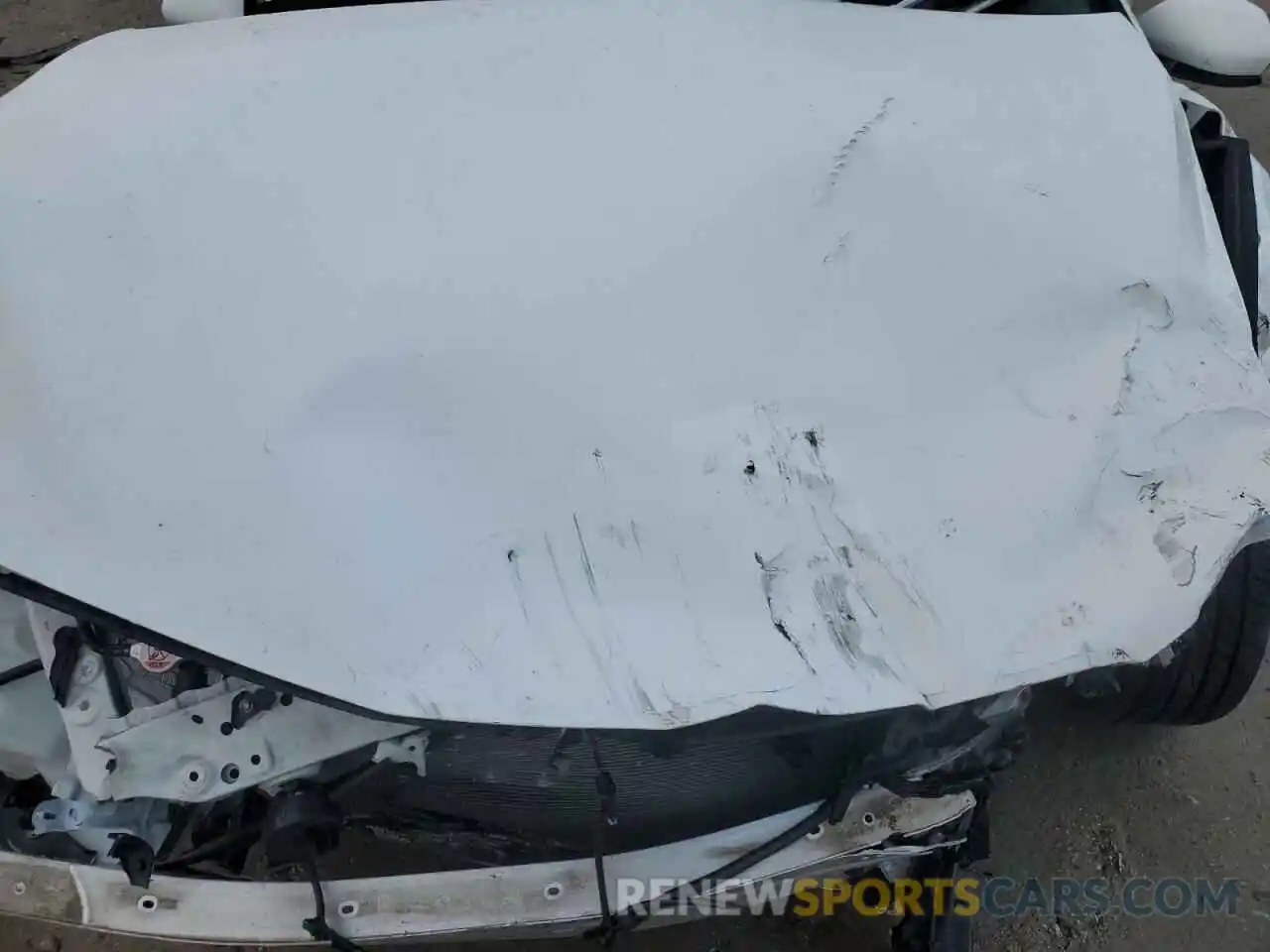 11 Photograph of a damaged car 4T1B11HK4KU295046 TOYOTA CAMRY 2019