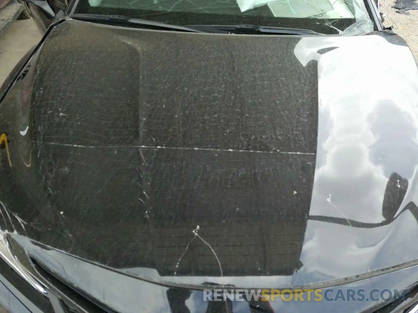 7 Photograph of a damaged car 4T1B11HK4KU299629 TOYOTA CAMRY 2019