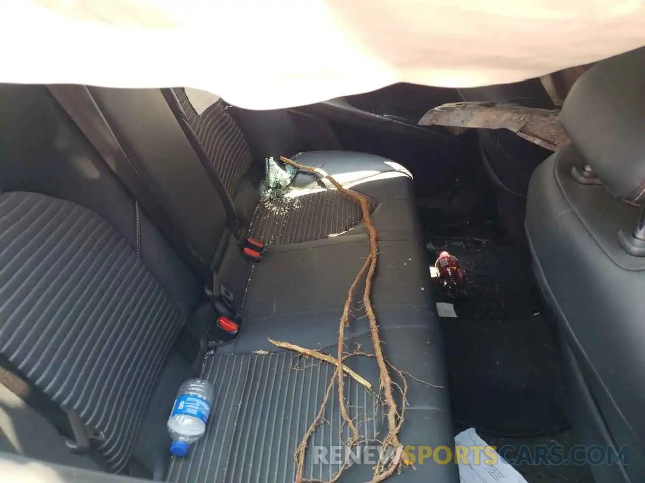 6 Photograph of a damaged car 4T1B11HK4KU679313 TOYOTA CAMRY 2019