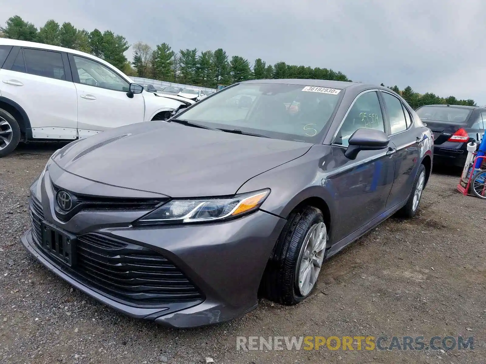 2 Photograph of a damaged car 4T1B11HK4KU697391 TOYOTA CAMRY 2019