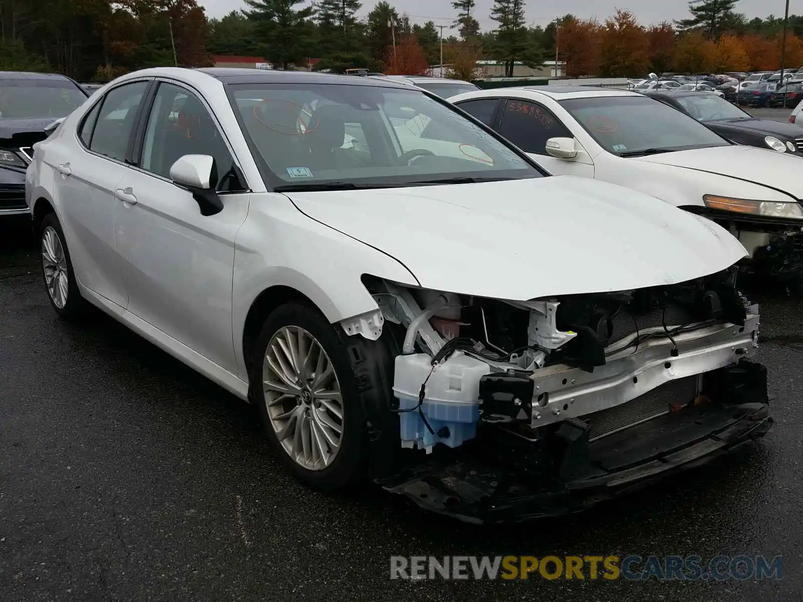 1 Photograph of a damaged car 4T1B11HK4KU719535 TOYOTA CAMRY 2019