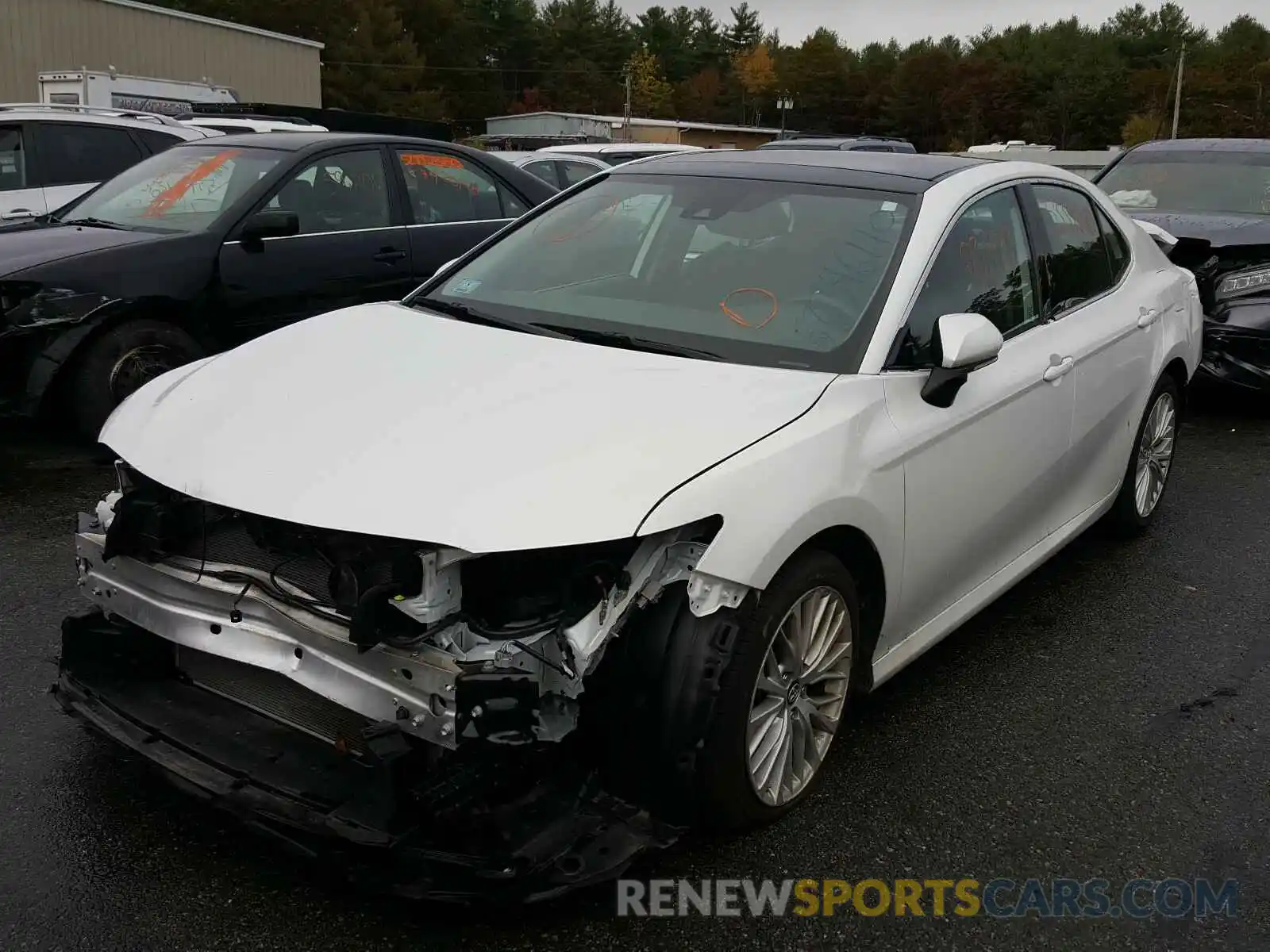 2 Photograph of a damaged car 4T1B11HK4KU719535 TOYOTA CAMRY 2019