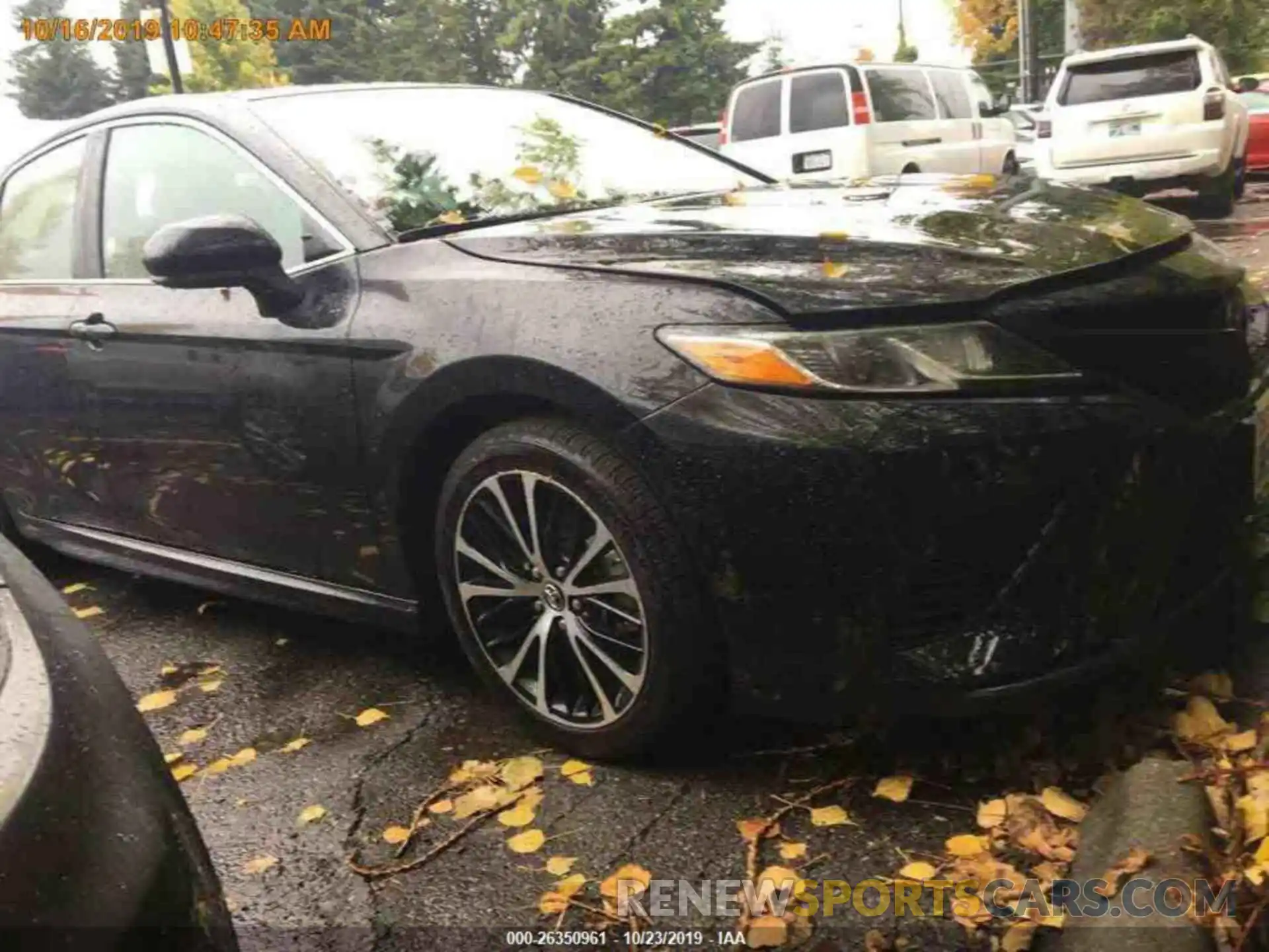 13 Photograph of a damaged car 4T1B11HK4KU724993 TOYOTA CAMRY 2019