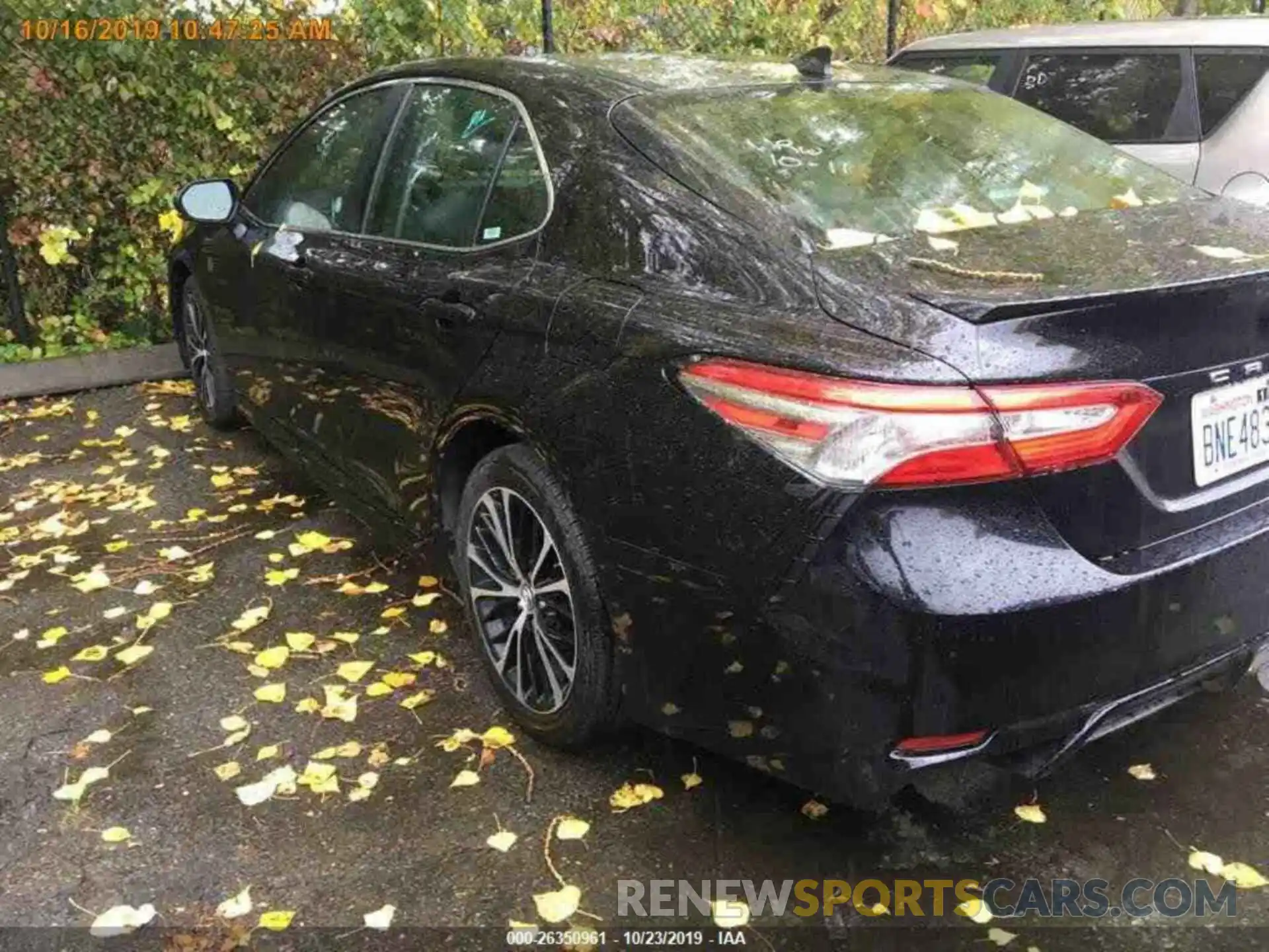 14 Photograph of a damaged car 4T1B11HK4KU724993 TOYOTA CAMRY 2019