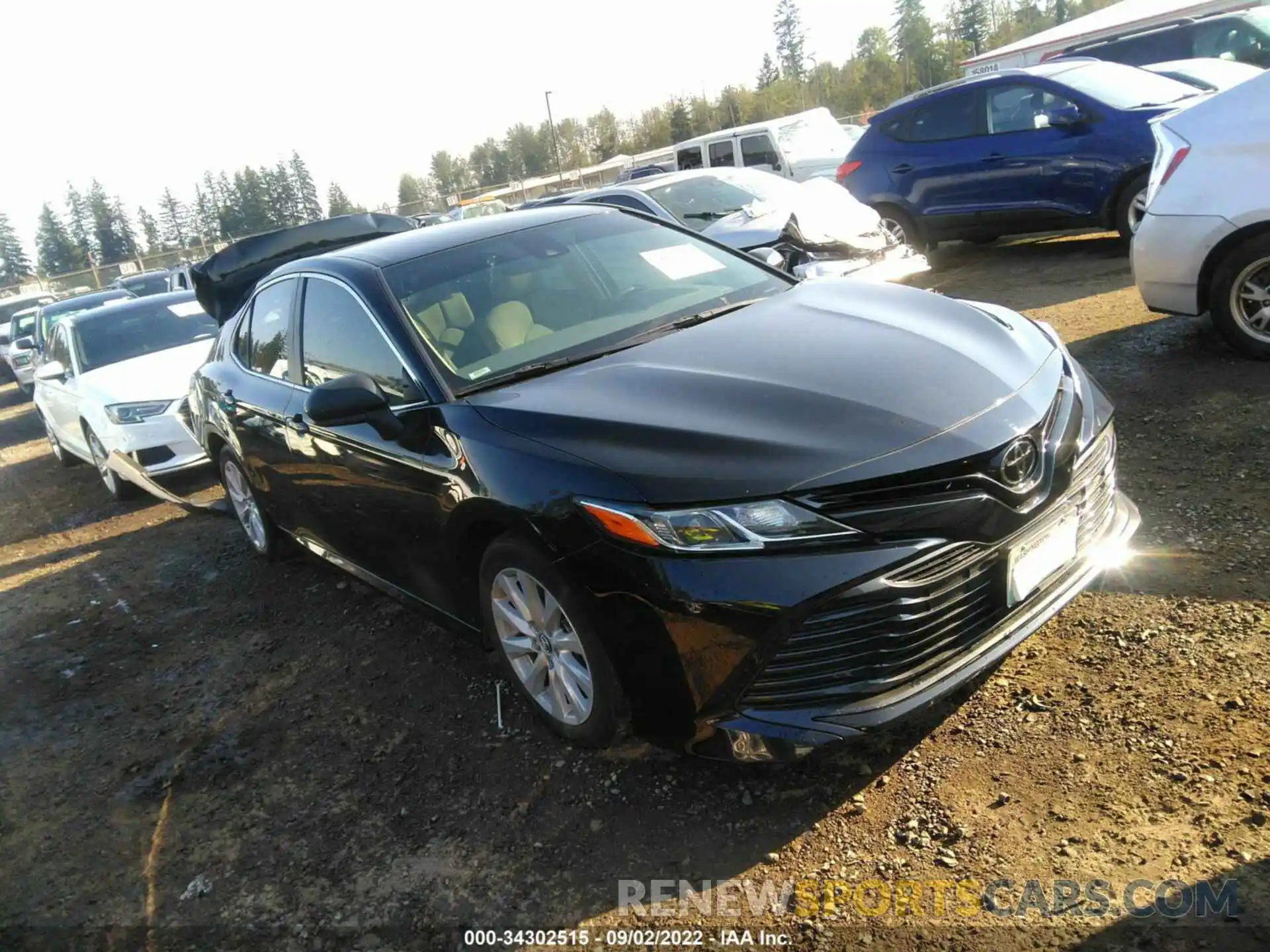 1 Photograph of a damaged car 4T1B11HK4KU730146 TOYOTA CAMRY 2019