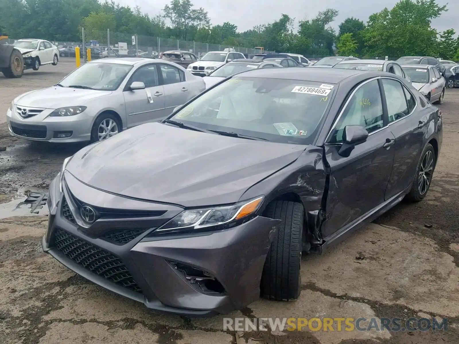 2 Photograph of a damaged car 4T1B11HK4KU736349 TOYOTA CAMRY 2019