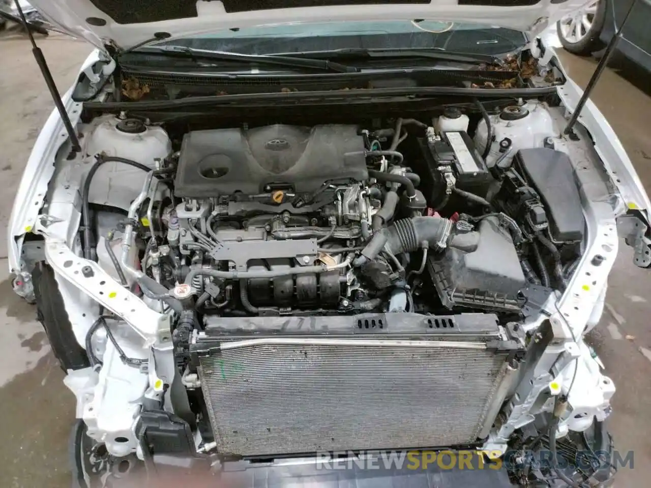 7 Photograph of a damaged car 4T1B11HK4KU768332 TOYOTA CAMRY 2019