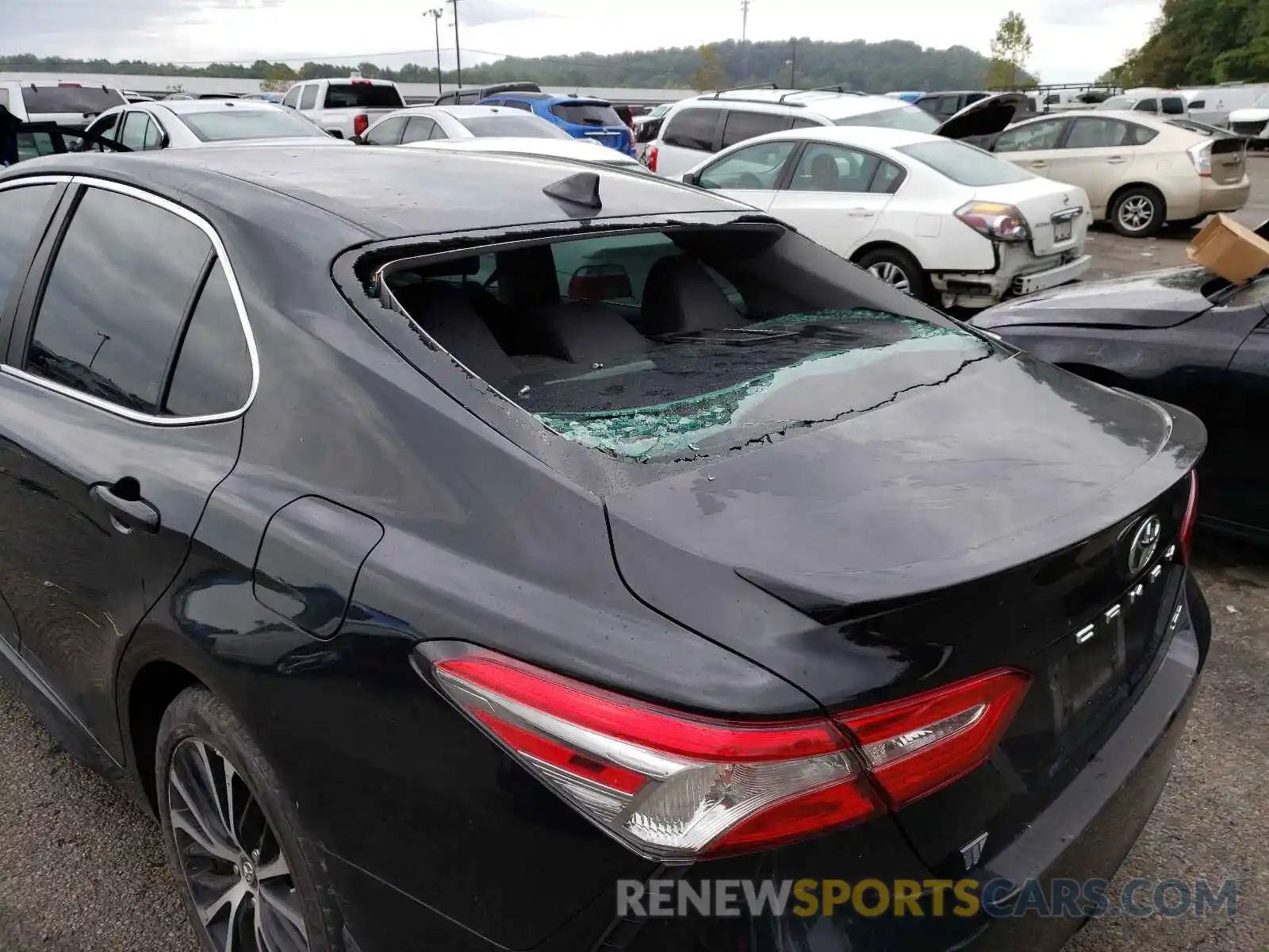 9 Photograph of a damaged car 4T1B11HK4KU772249 TOYOTA CAMRY 2019