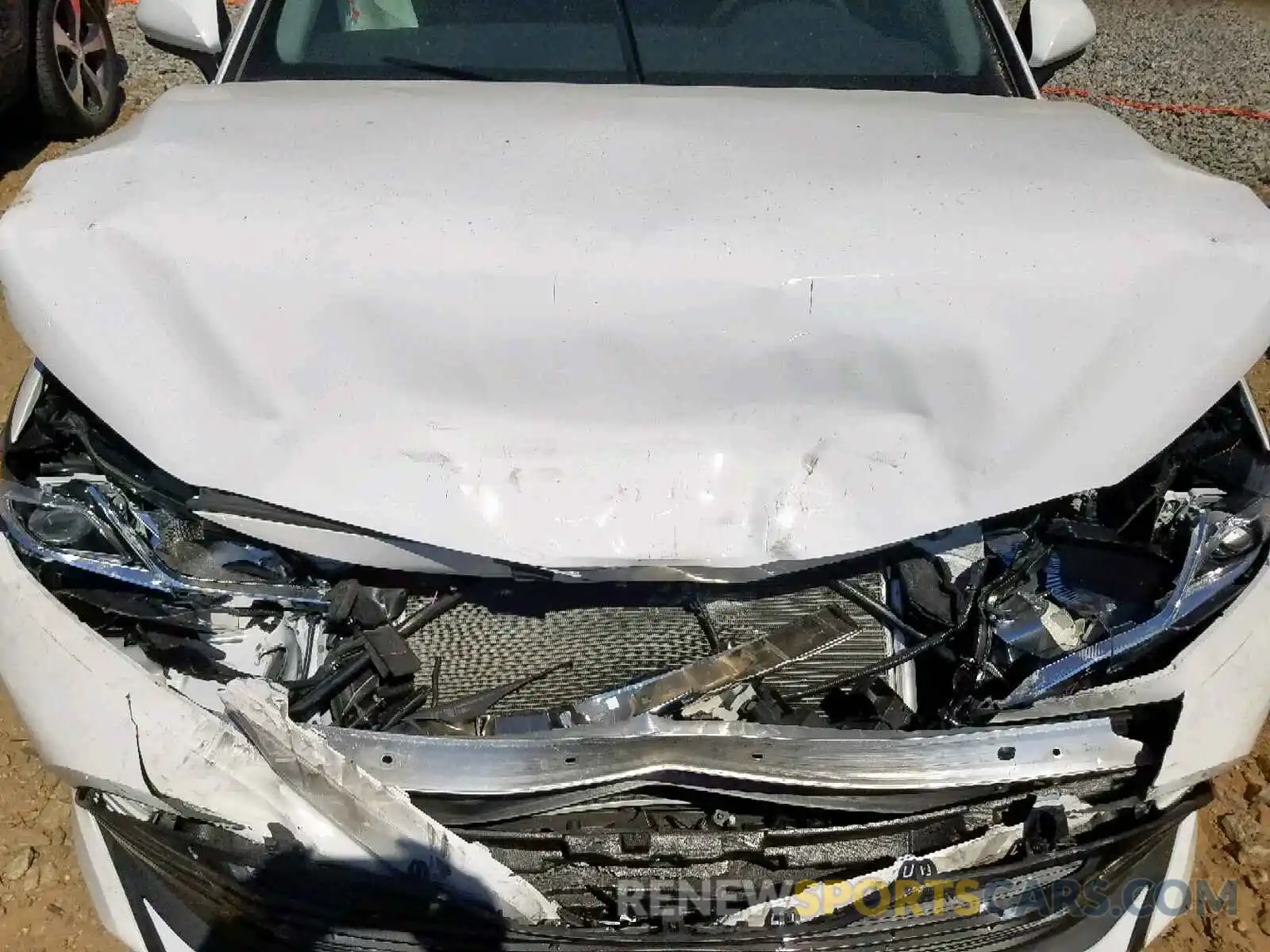 7 Photograph of a damaged car 4T1B11HK4KU775653 TOYOTA CAMRY 2019