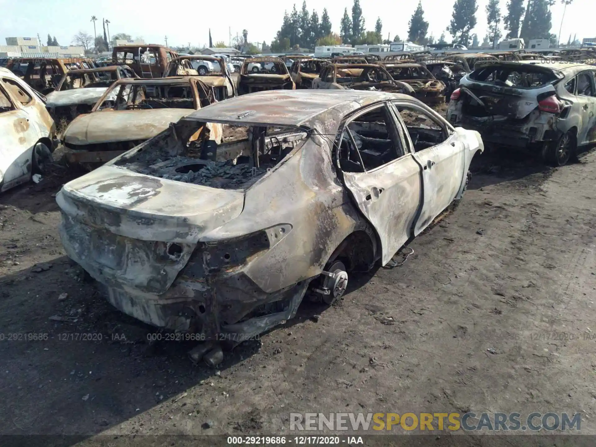 4 Photograph of a damaged car 4T1B11HK4KU781002 TOYOTA CAMRY 2019