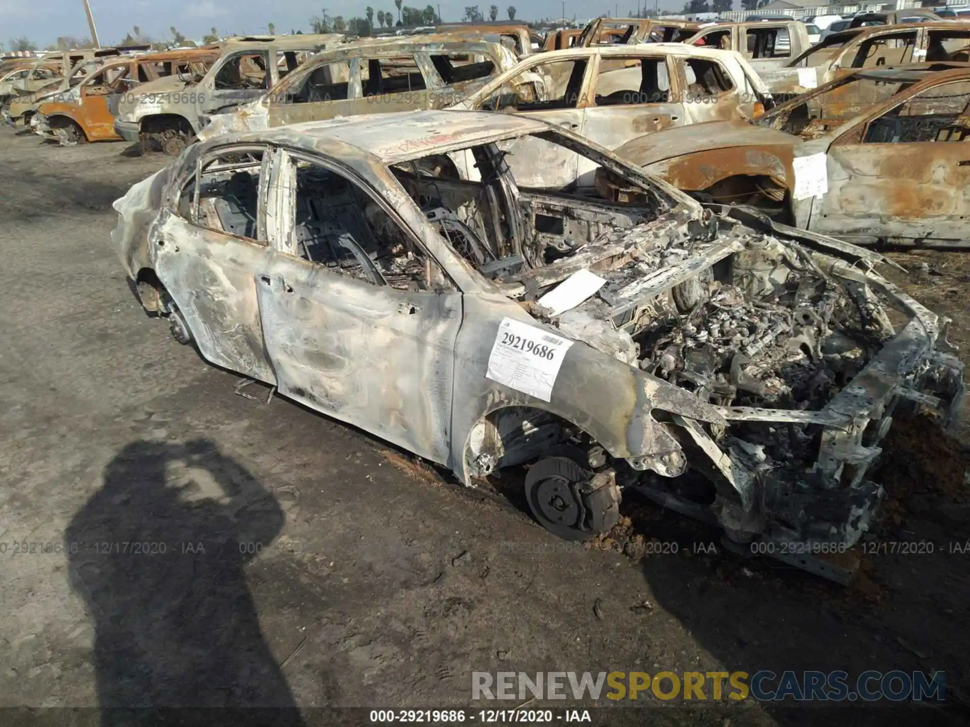 6 Photograph of a damaged car 4T1B11HK4KU781002 TOYOTA CAMRY 2019