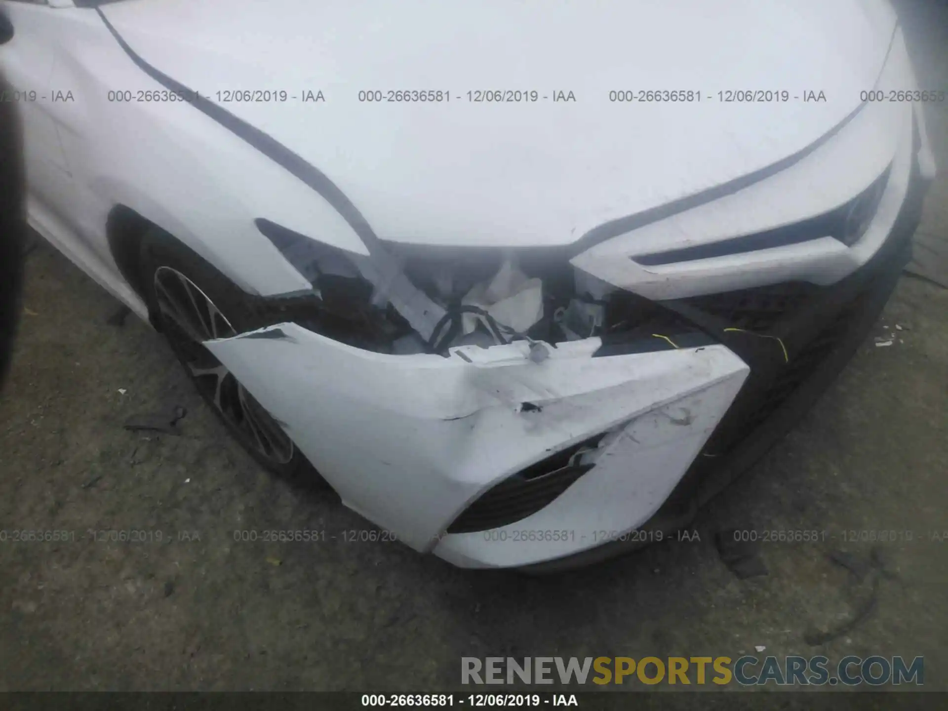 6 Photograph of a damaged car 4T1B11HK4KU794798 TOYOTA CAMRY 2019