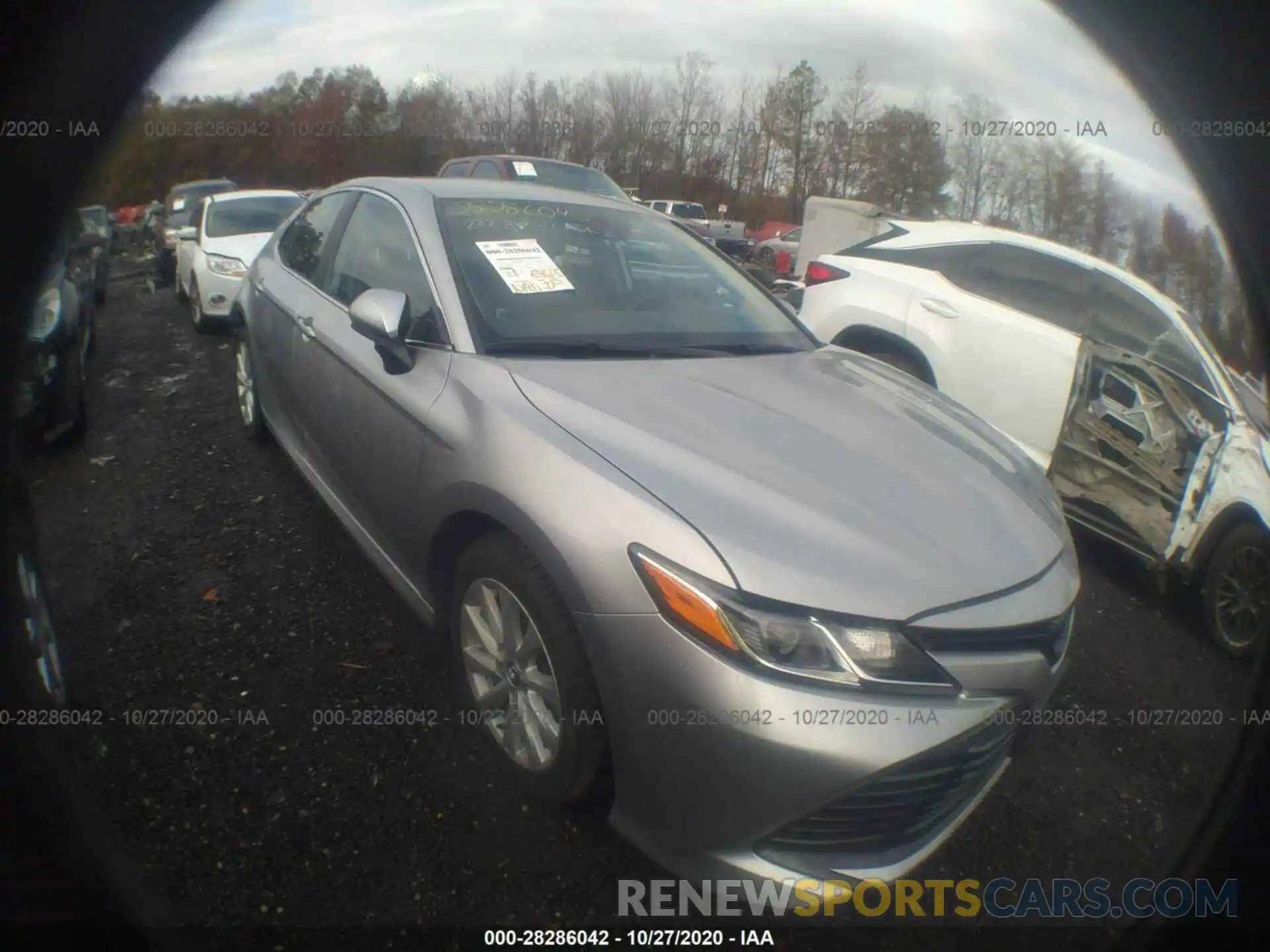 1 Photograph of a damaged car 4T1B11HK4KU801099 TOYOTA CAMRY 2019