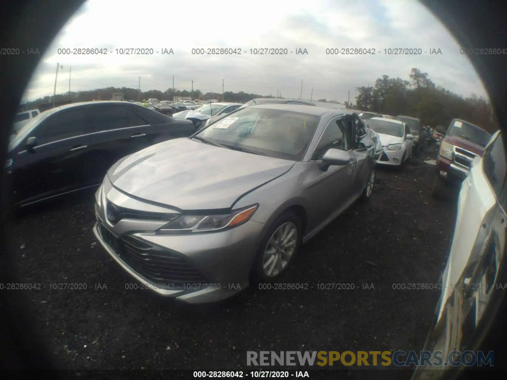 2 Photograph of a damaged car 4T1B11HK4KU801099 TOYOTA CAMRY 2019