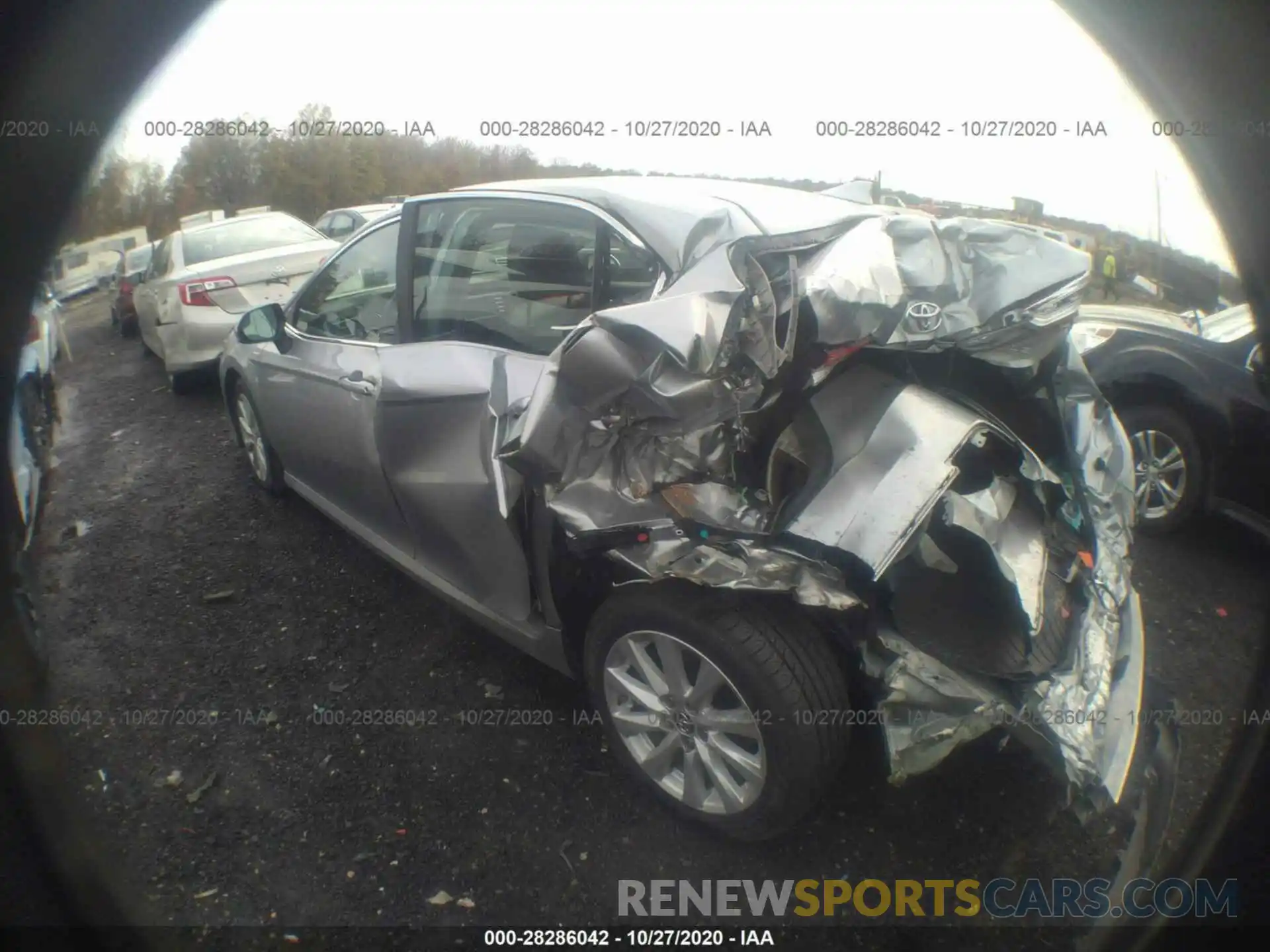 3 Photograph of a damaged car 4T1B11HK4KU801099 TOYOTA CAMRY 2019