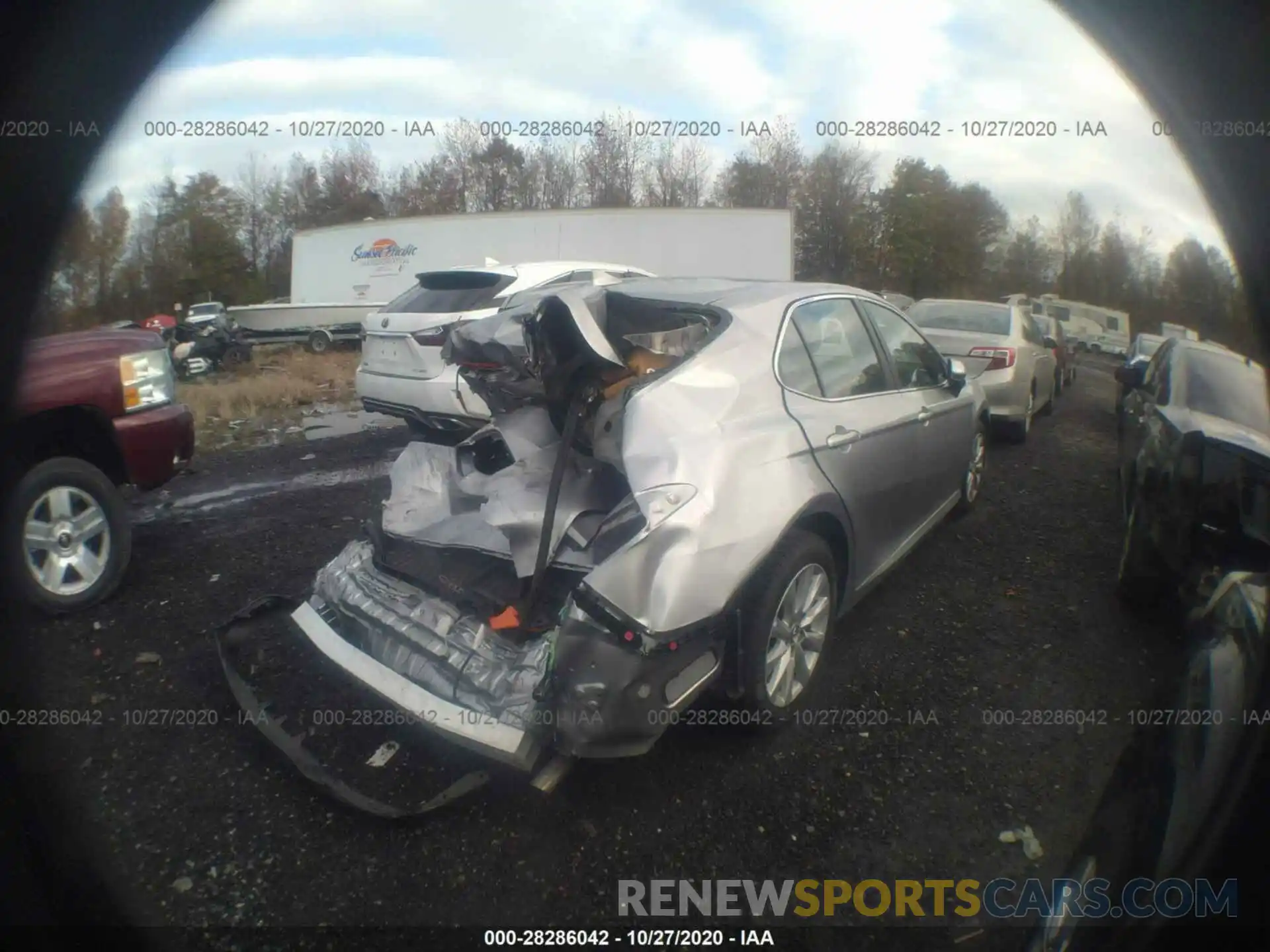 4 Photograph of a damaged car 4T1B11HK4KU801099 TOYOTA CAMRY 2019