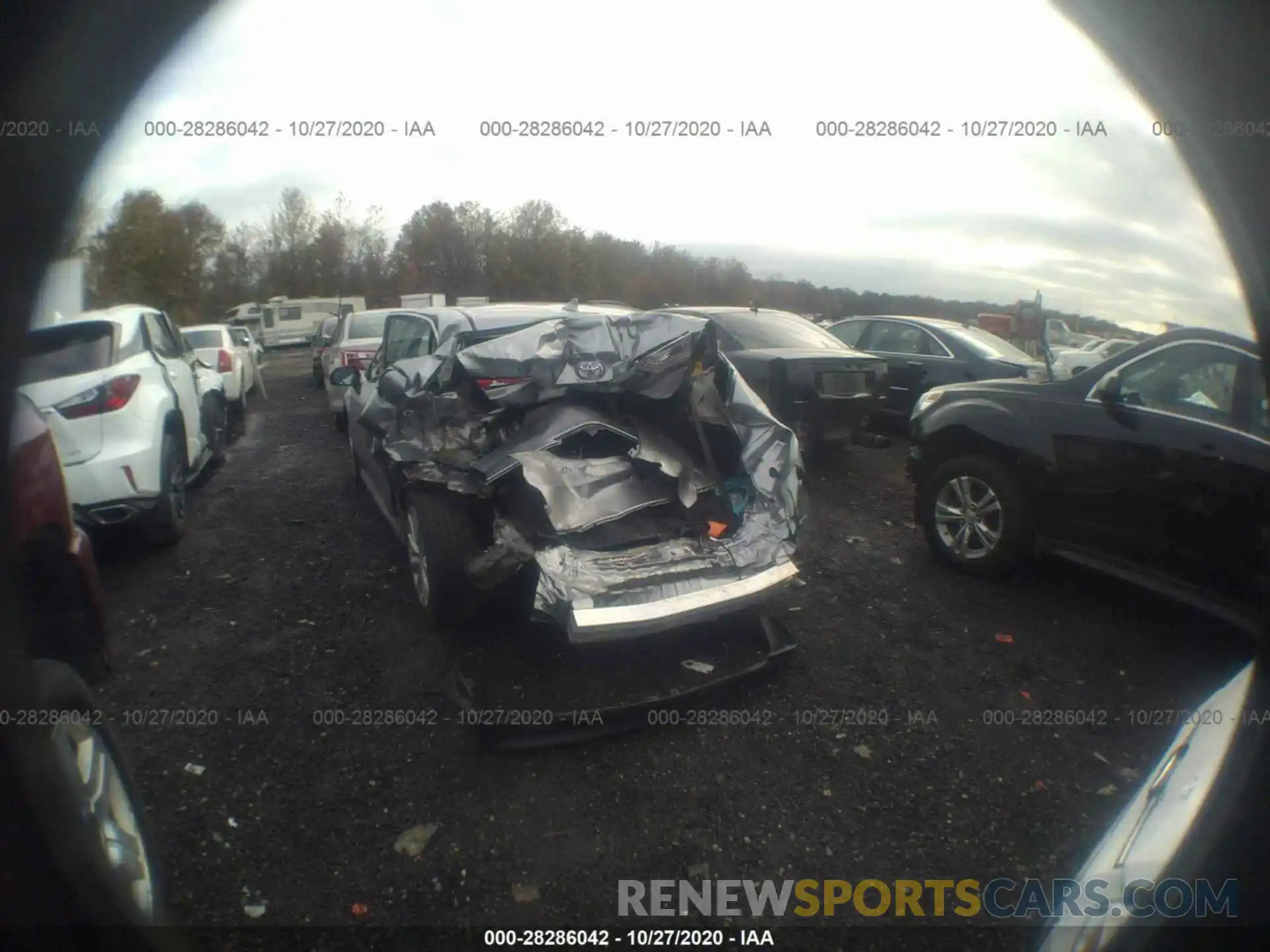 6 Photograph of a damaged car 4T1B11HK4KU801099 TOYOTA CAMRY 2019