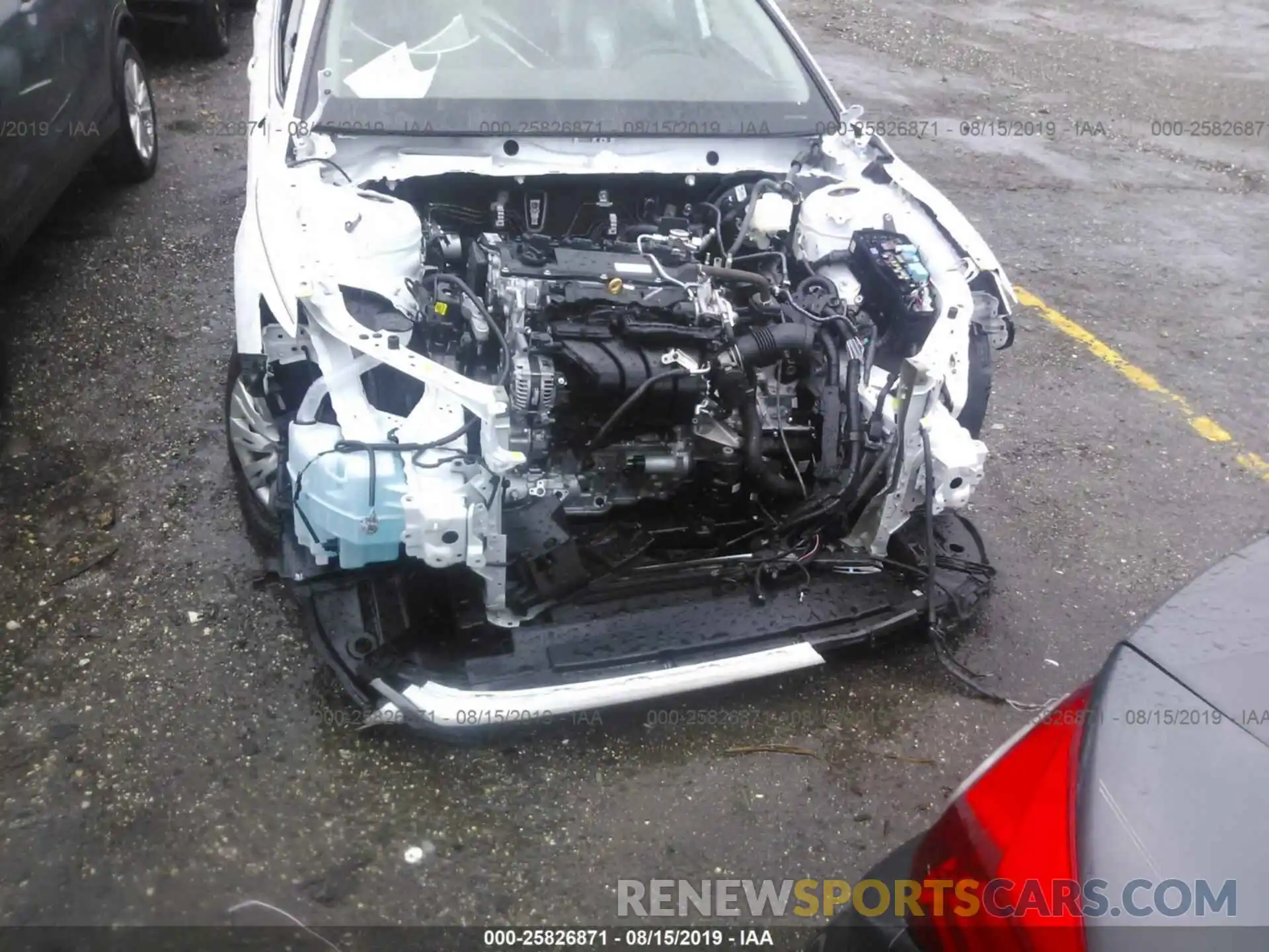 6 Photograph of a damaged car 4T1B11HK4KU806979 TOYOTA CAMRY 2019