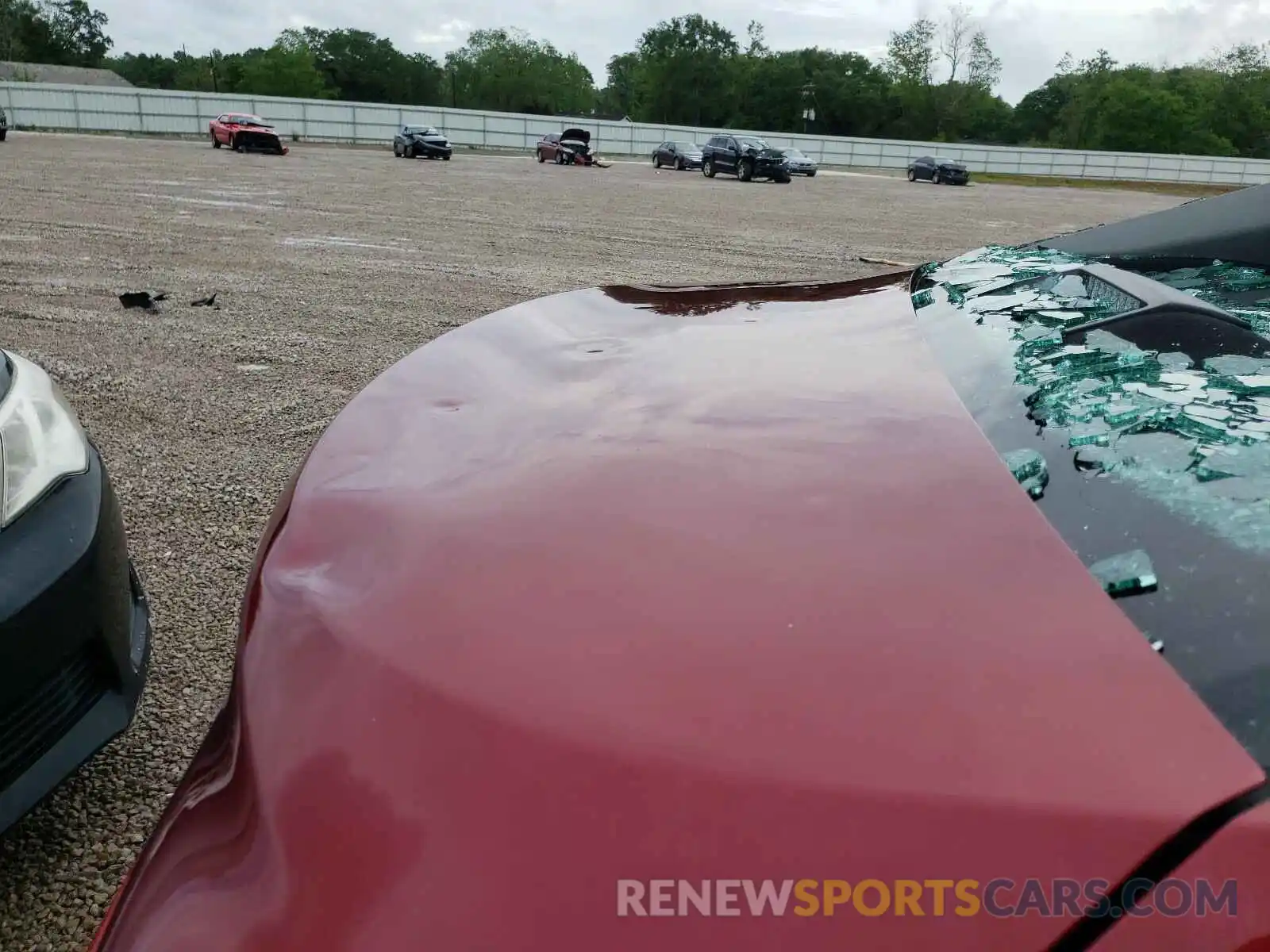 9 Photograph of a damaged car 4T1B11HK4KU813320 TOYOTA CAMRY 2019