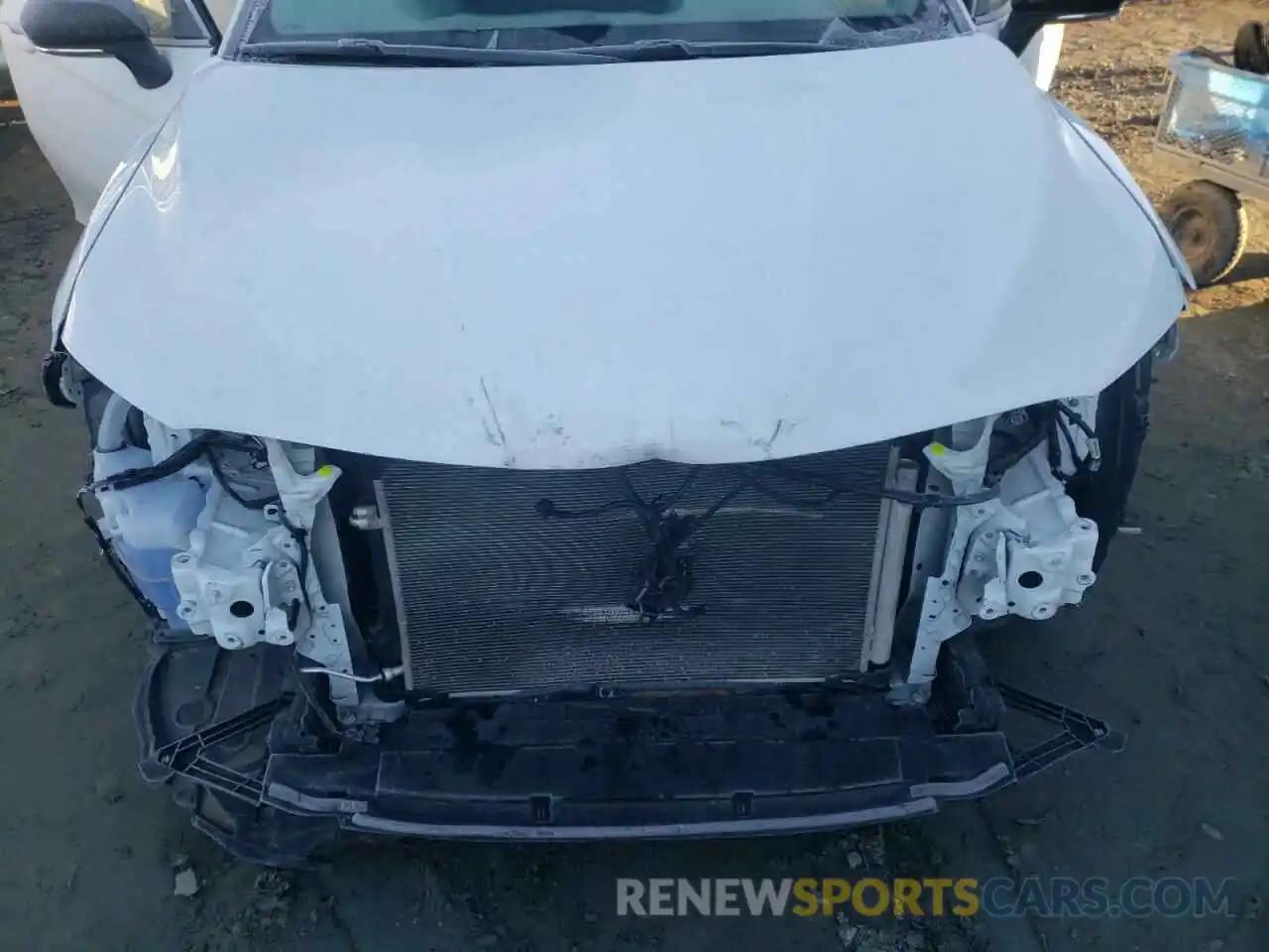 7 Photograph of a damaged car 4T1B11HK4KU817772 TOYOTA CAMRY 2019