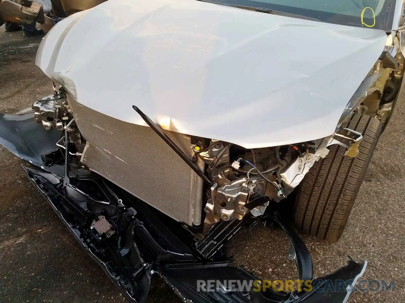 9 Photograph of a damaged car 4T1B11HK4KU847497 TOYOTA CAMRY 2019