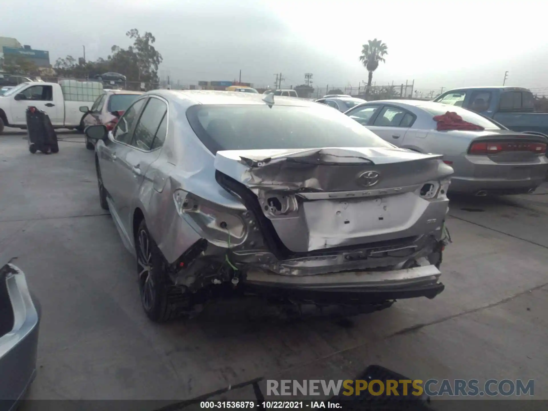 6 Photograph of a damaged car 4T1B11HK4KU849220 TOYOTA CAMRY 2019