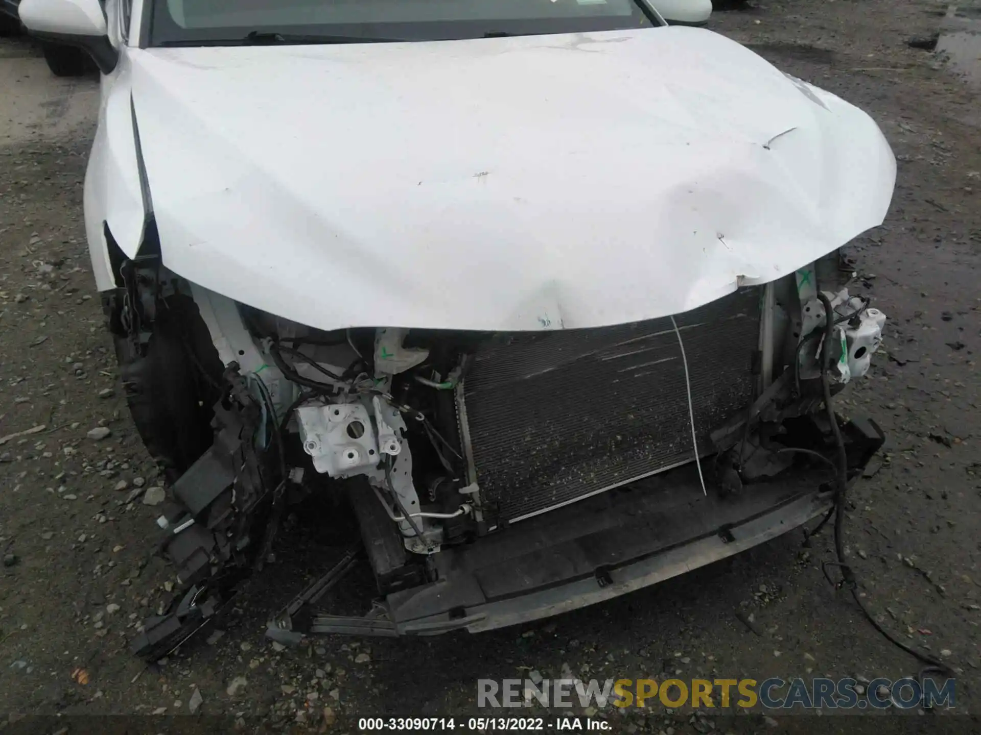 6 Photograph of a damaged car 4T1B11HK4KU850318 TOYOTA CAMRY 2019