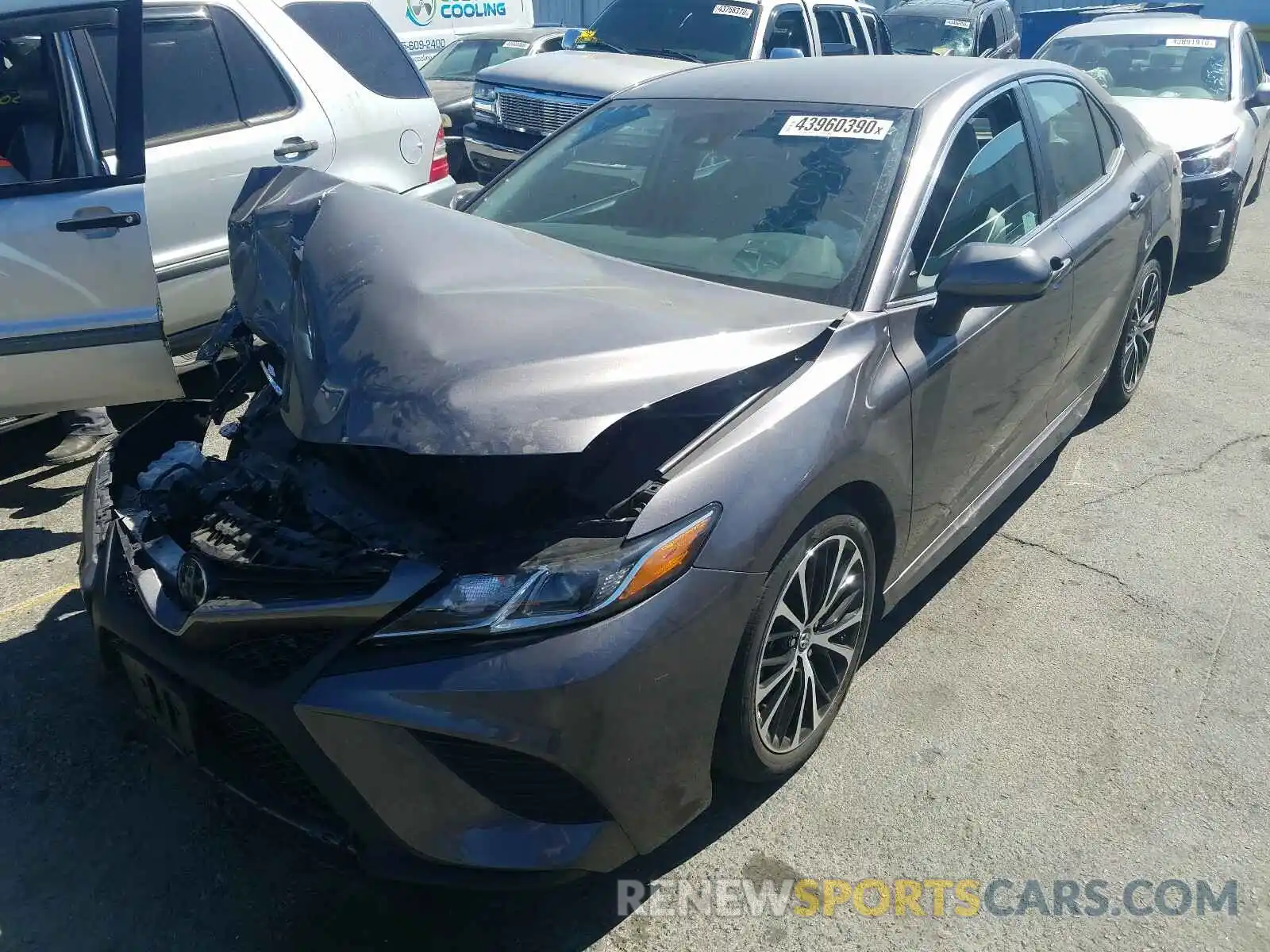 2 Photograph of a damaged car 4T1B11HK5KU161288 TOYOTA CAMRY 2019