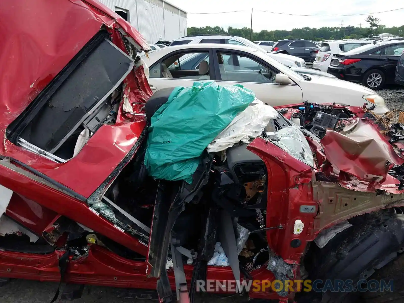 5 Photograph of a damaged car 4T1B11HK5KU164496 TOYOTA CAMRY 2019