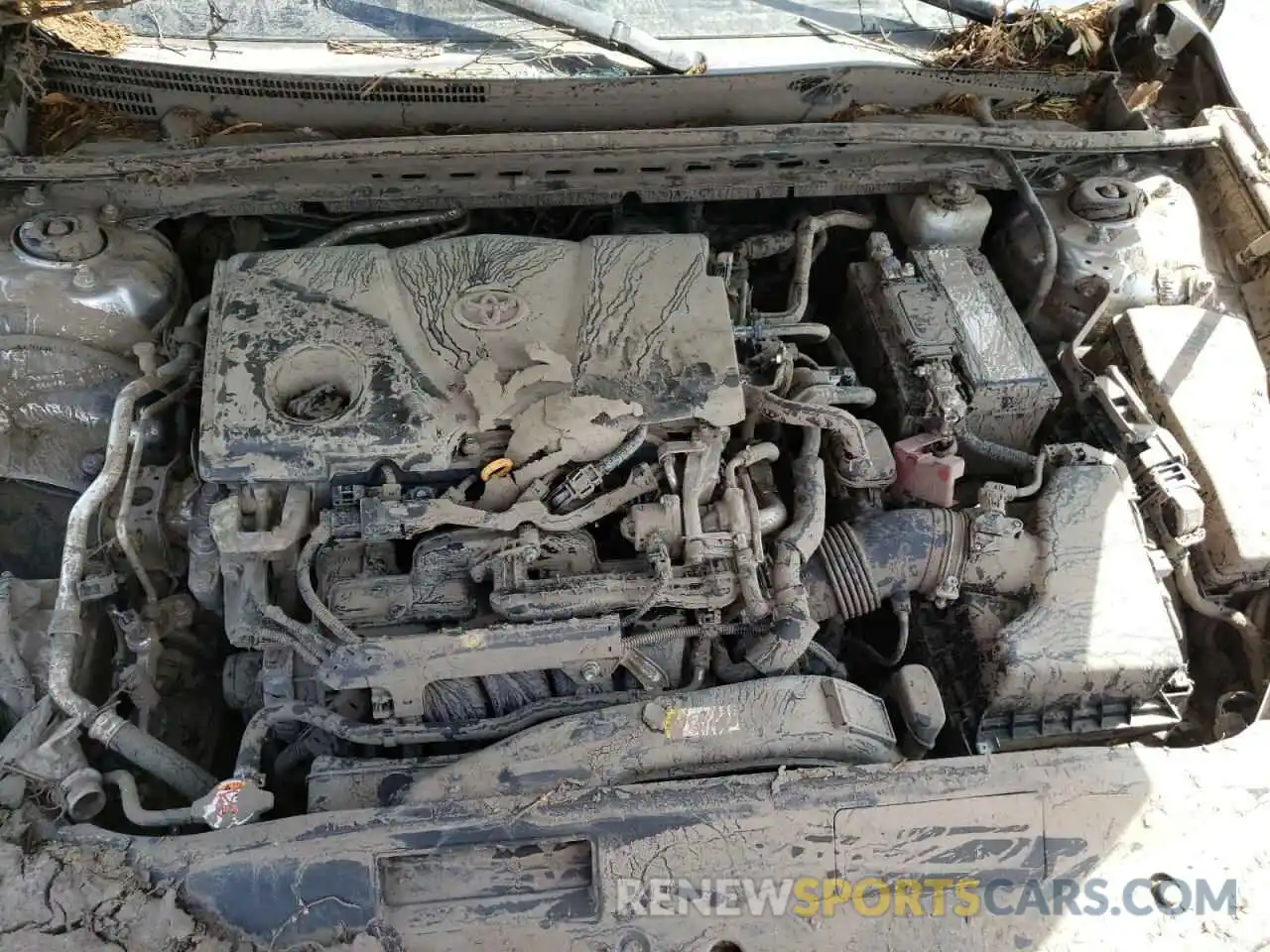 7 Photograph of a damaged car 4T1B11HK5KU189415 TOYOTA CAMRY 2019