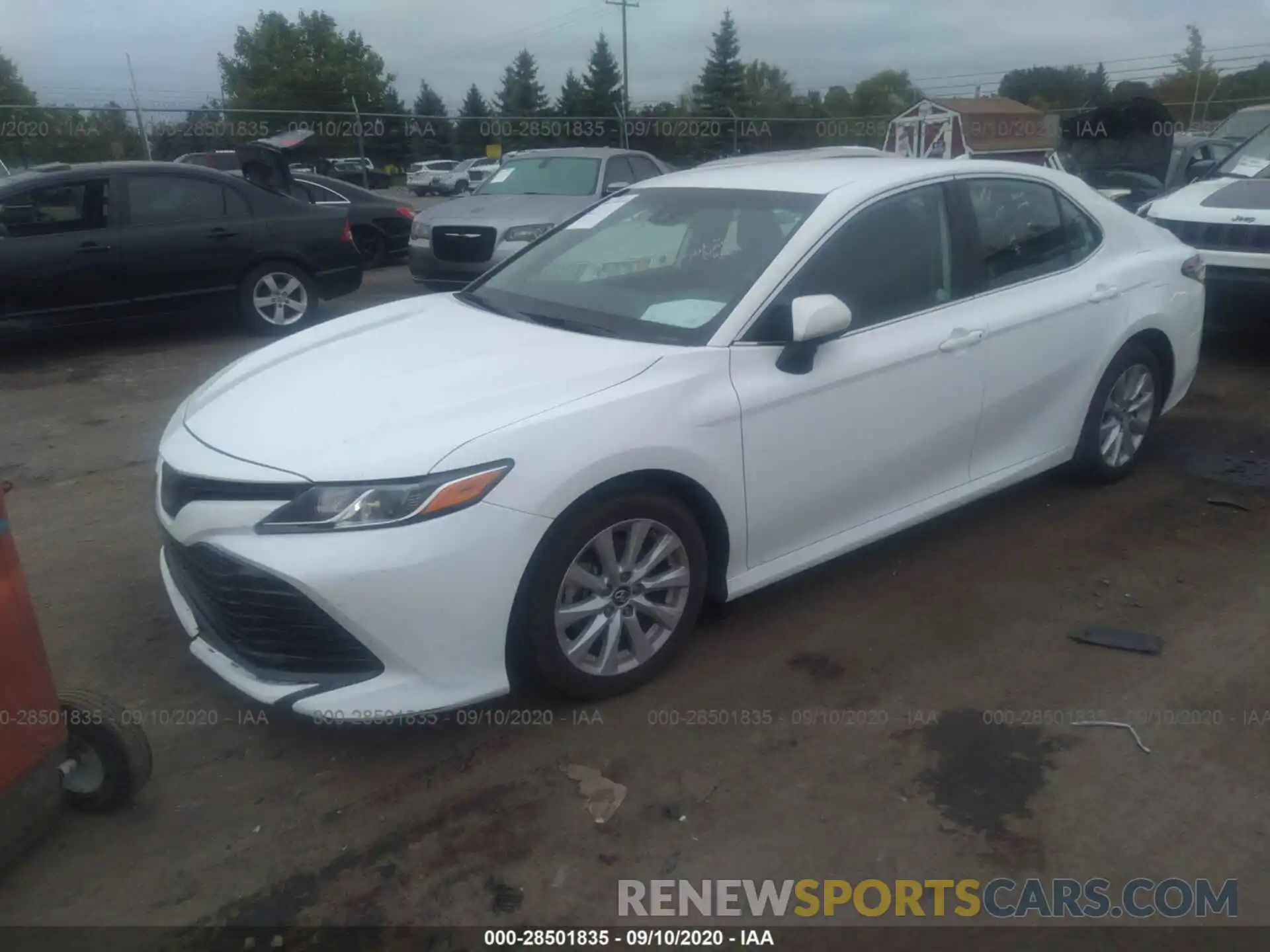 2 Photograph of a damaged car 4T1B11HK5KU194839 TOYOTA CAMRY 2019