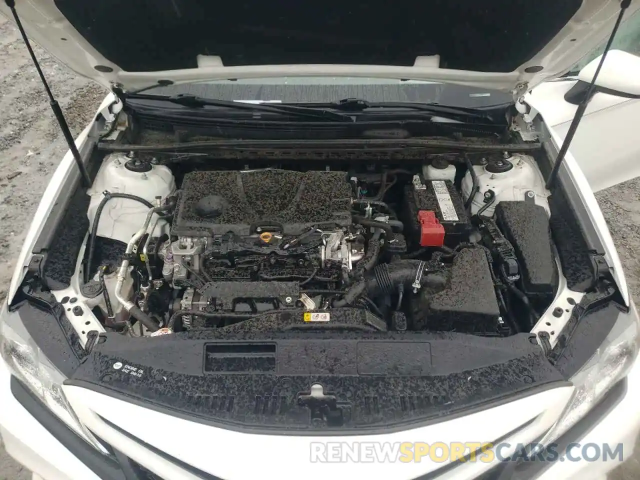 7 Photograph of a damaged car 4T1B11HK5KU229072 TOYOTA CAMRY 2019