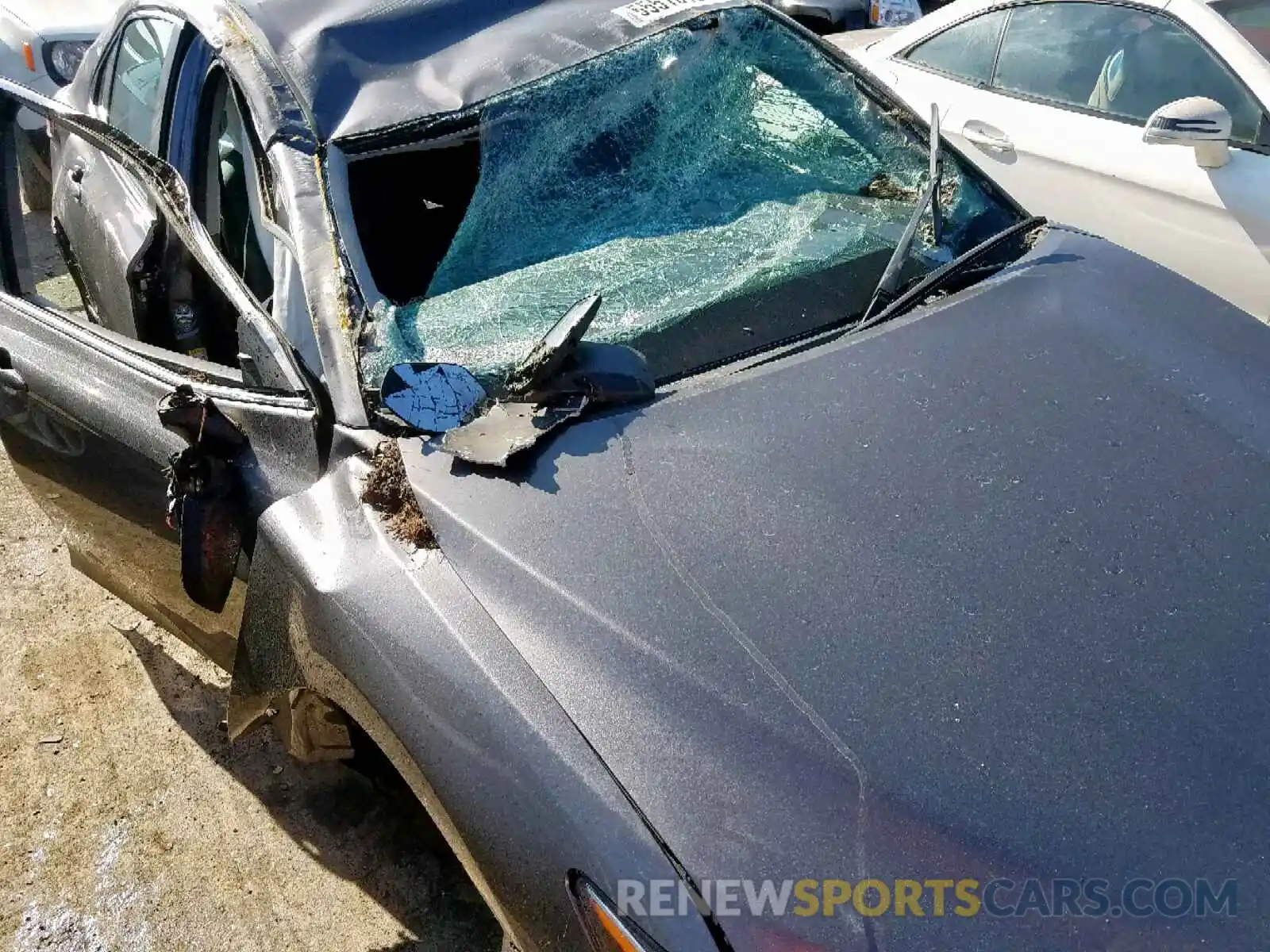 9 Photograph of a damaged car 4T1B11HK5KU231159 TOYOTA CAMRY 2019