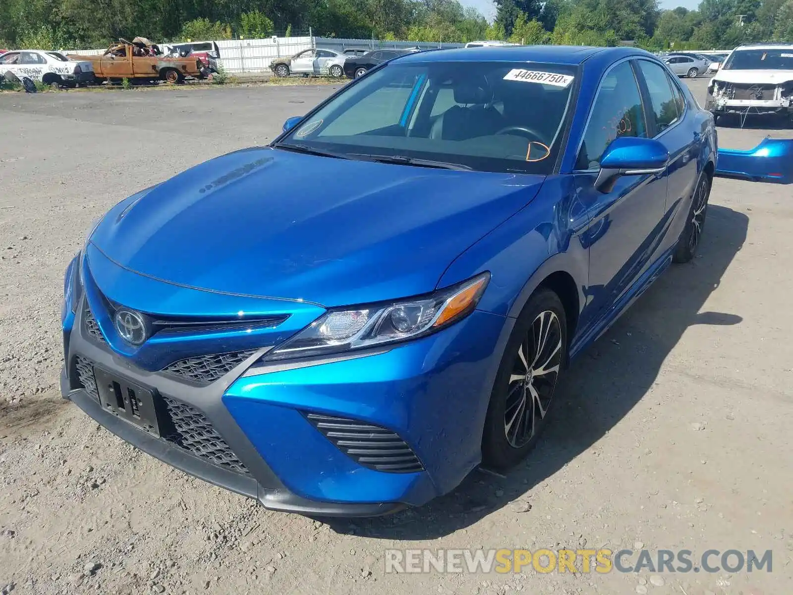 2 Photograph of a damaged car 4T1B11HK5KU231923 TOYOTA CAMRY 2019